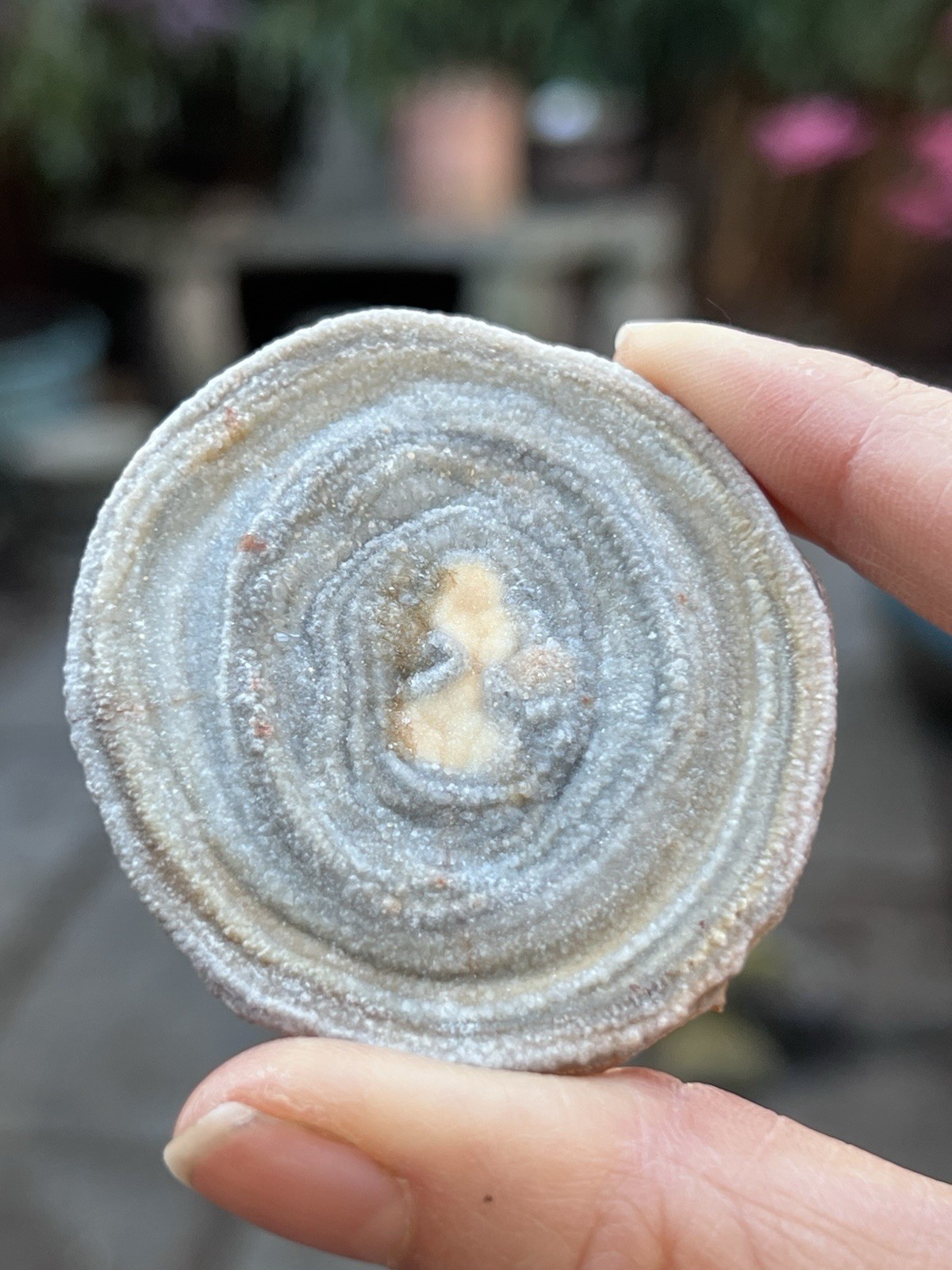 Blue Chalcedony Large Single Swirl Slice Cluster Natural Brazilian 6