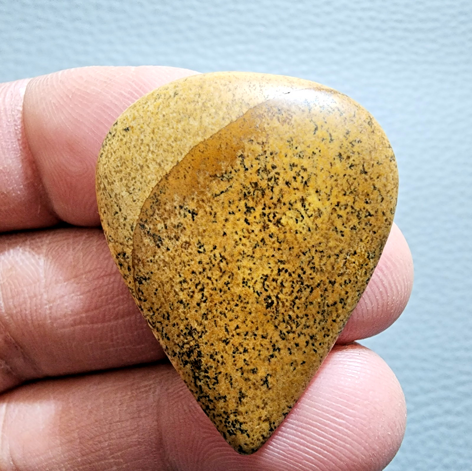 42ct Pear Picture Jasper Cabochon – Natural Gemstone Collector’s Jewelry Stone