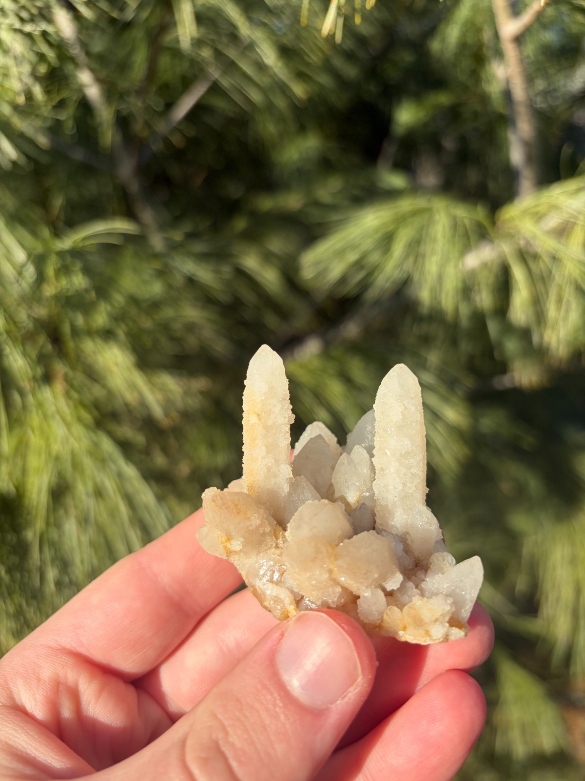 Fairy Spirit Quartz Cluster – South Africa – FQ030