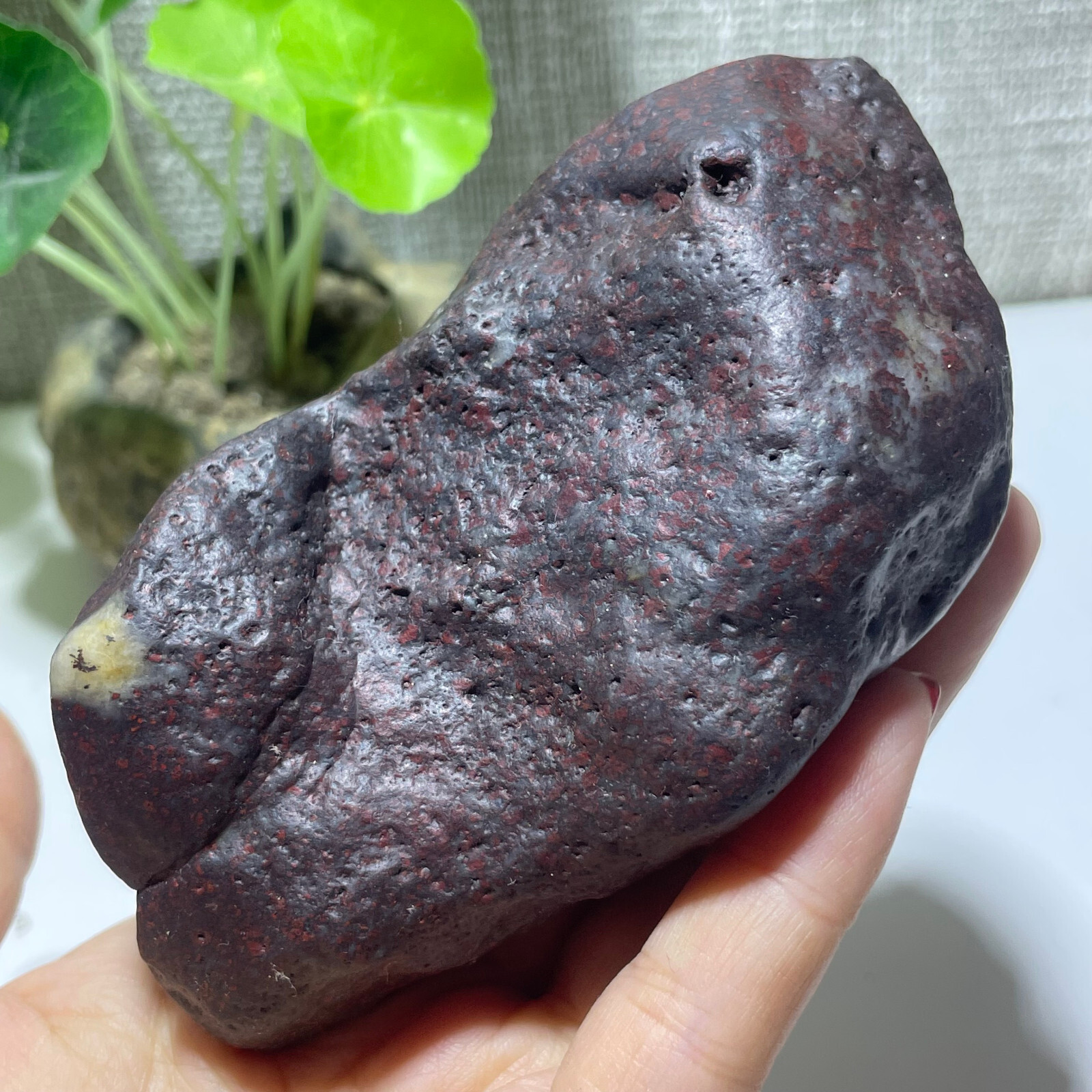 492g Natural Iddingsite meteorite specimen raw stone from China a7789