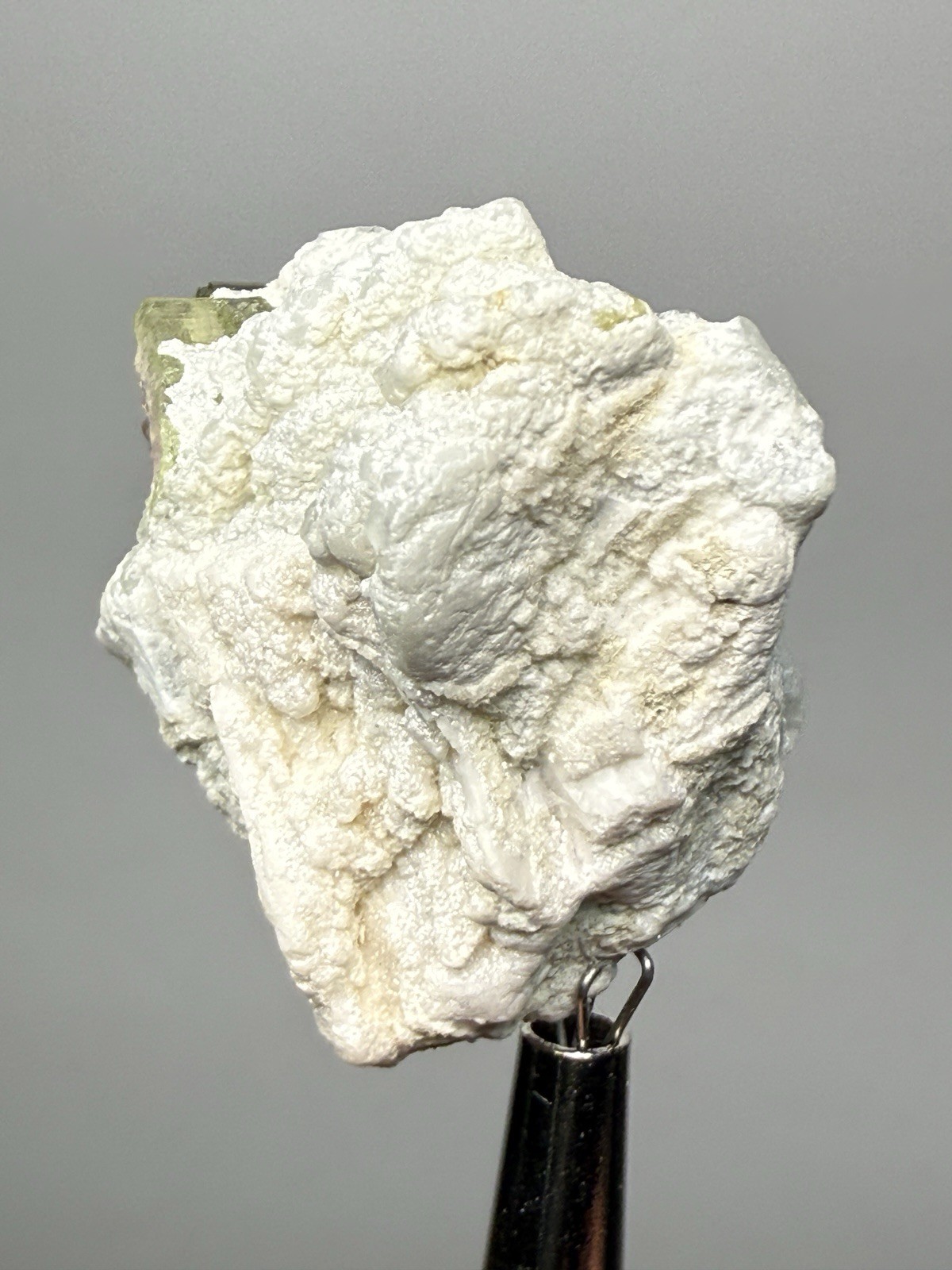 Watermelon Tourmaline on Matrix | Collector Mineral Specimen | Pakistan