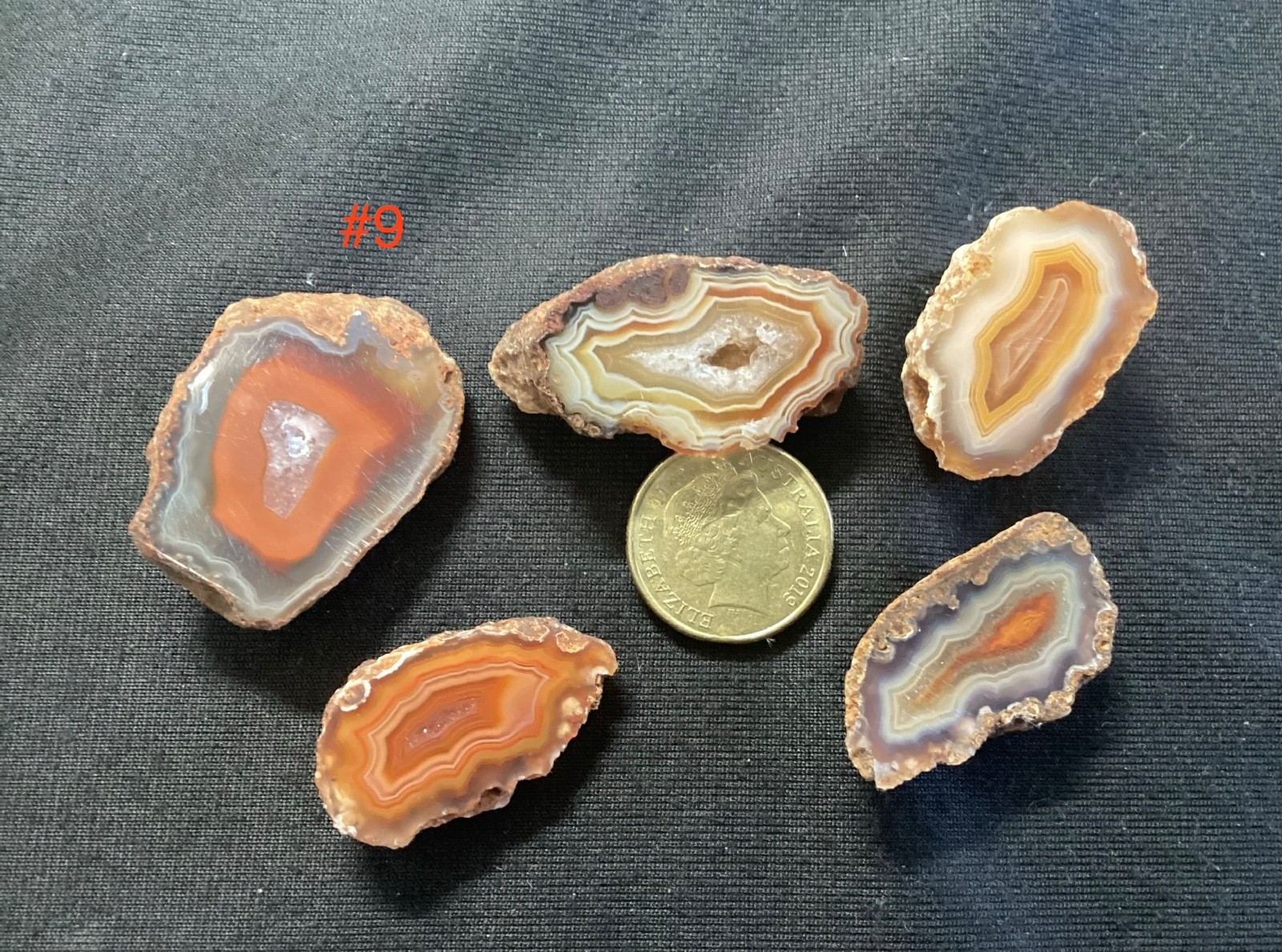 Malawi Agate Parcels – 5x PREMIUM Alimajo Polished Halves (30mm)