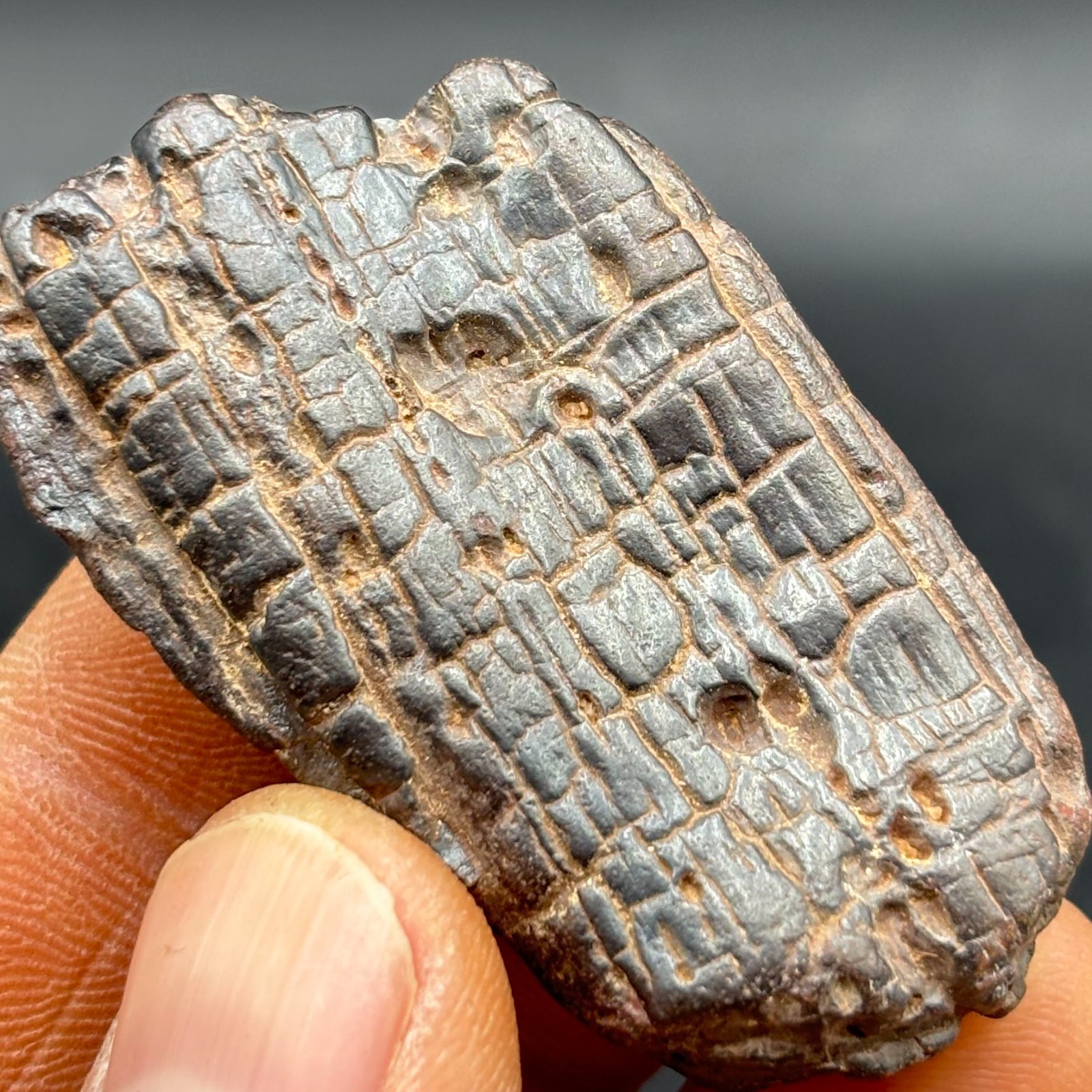 RARE Stony meteorite Natural Meteorite iron BOXHOLE, Australia
