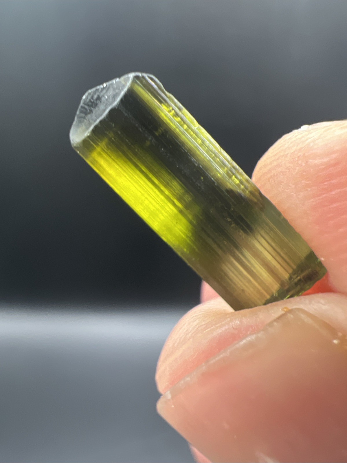 Gorgeous .83g Mozambique Tourmaline – 10017