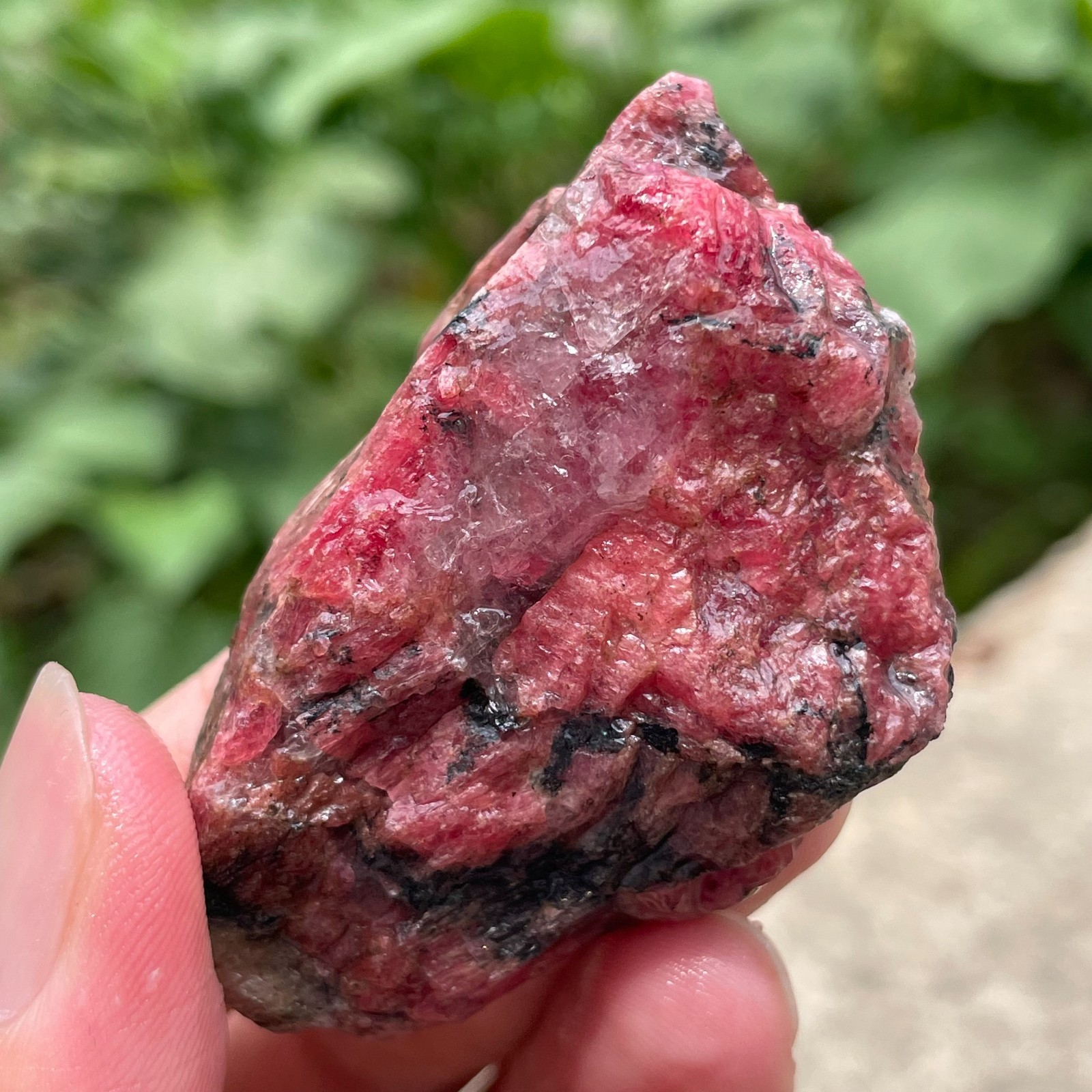 84g Small Raw Ore Red Black Rhodonite Quartz Gemstone Mineral Specimen