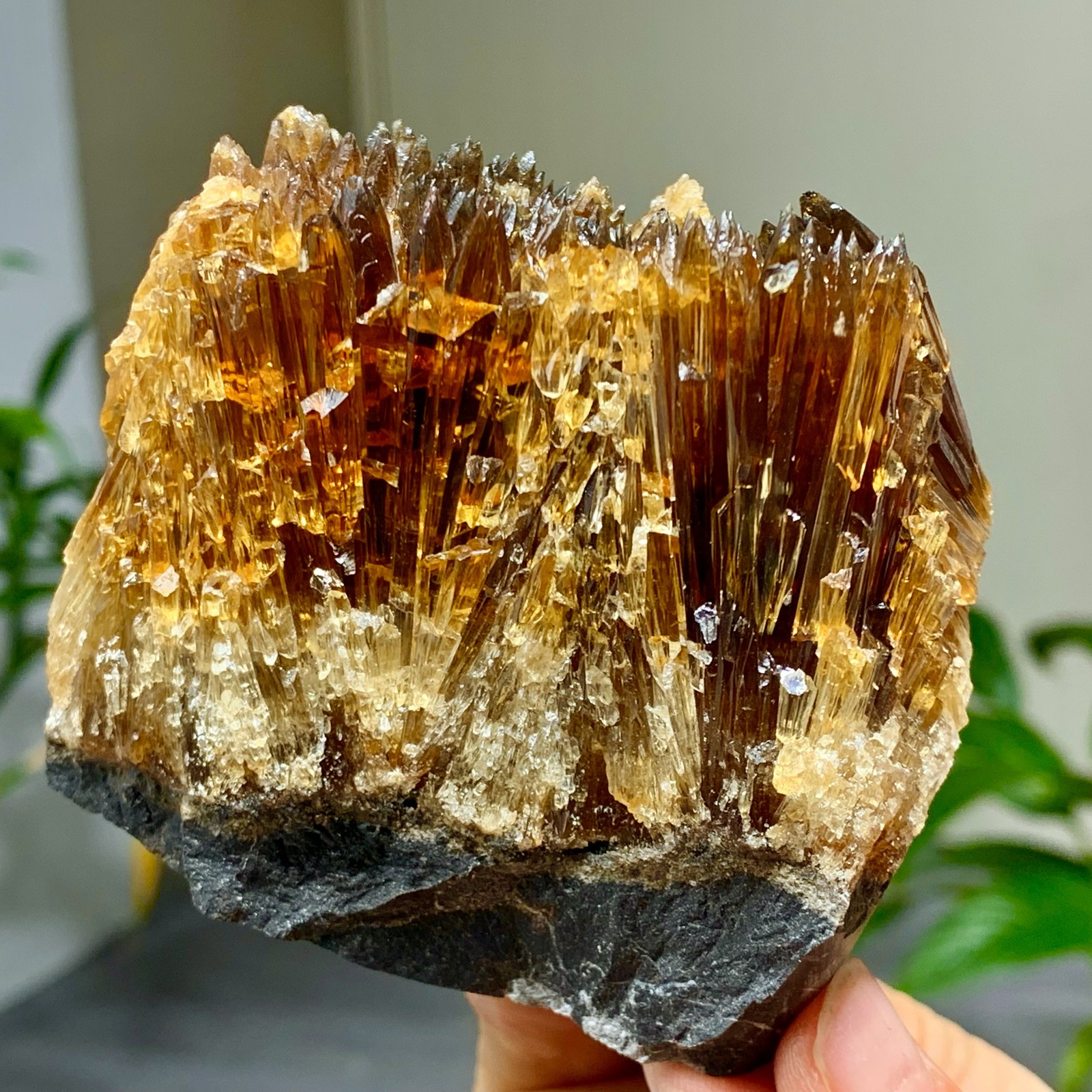 472G Natural Amber Calcite Quartz Crystal Honey Cluster Rough Specimen