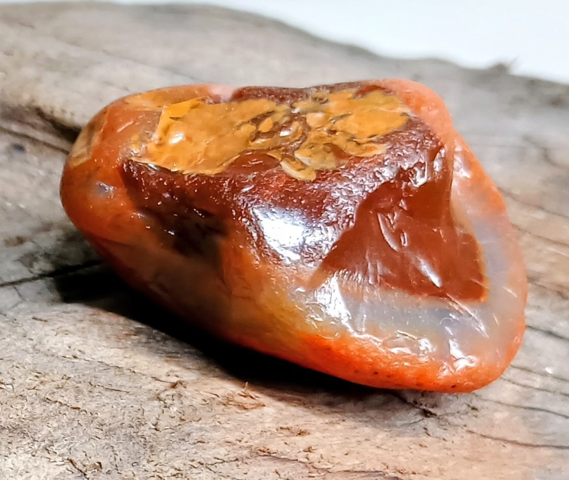 Dark Red Carnelian Pocket Lake Superior Agate- Limonite Skin- Rough ( .83oz)