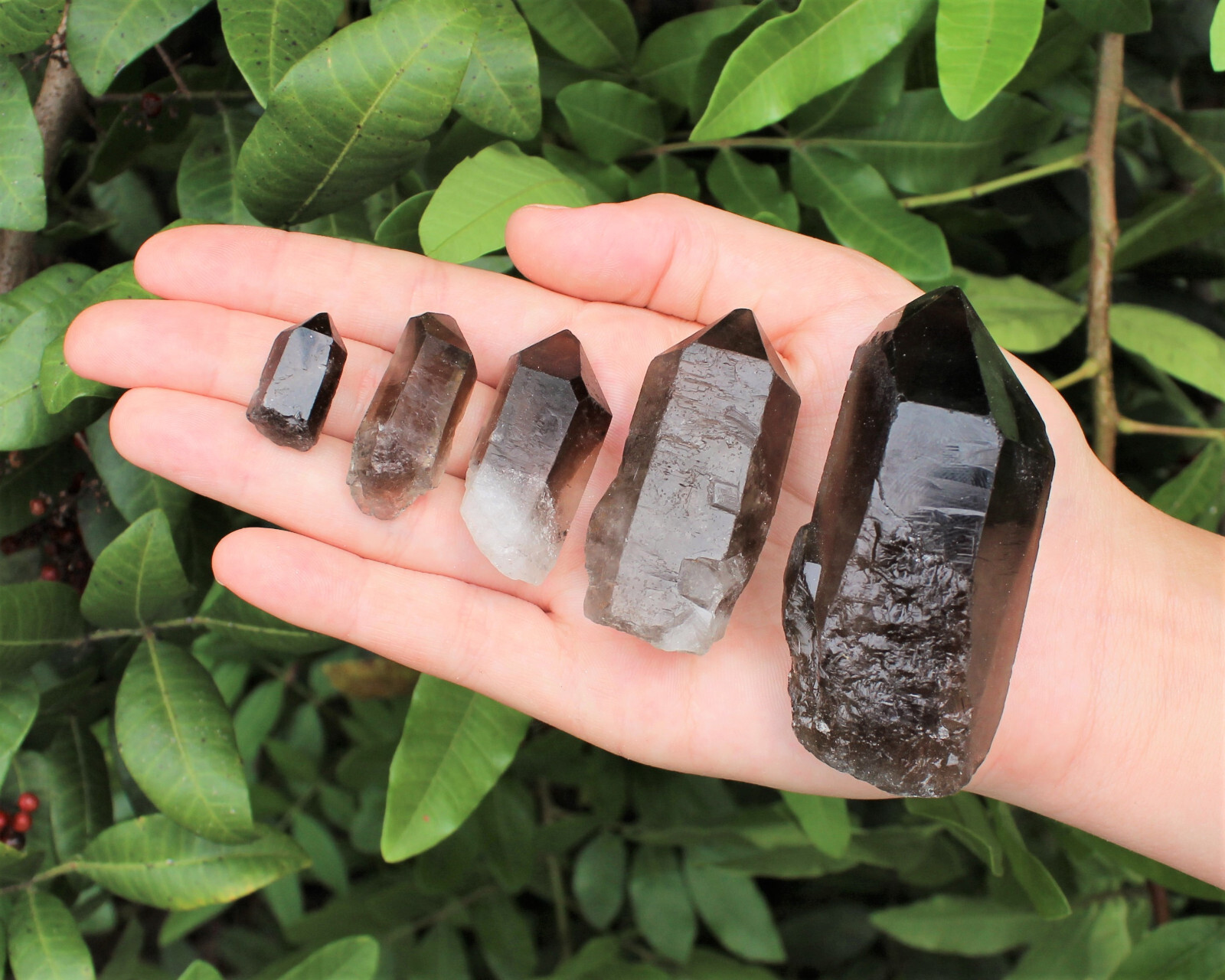 Smoky Quartz Points, LARGE ‘AAA’ Grade Smoky Quartz Crystal Point: Choose Size