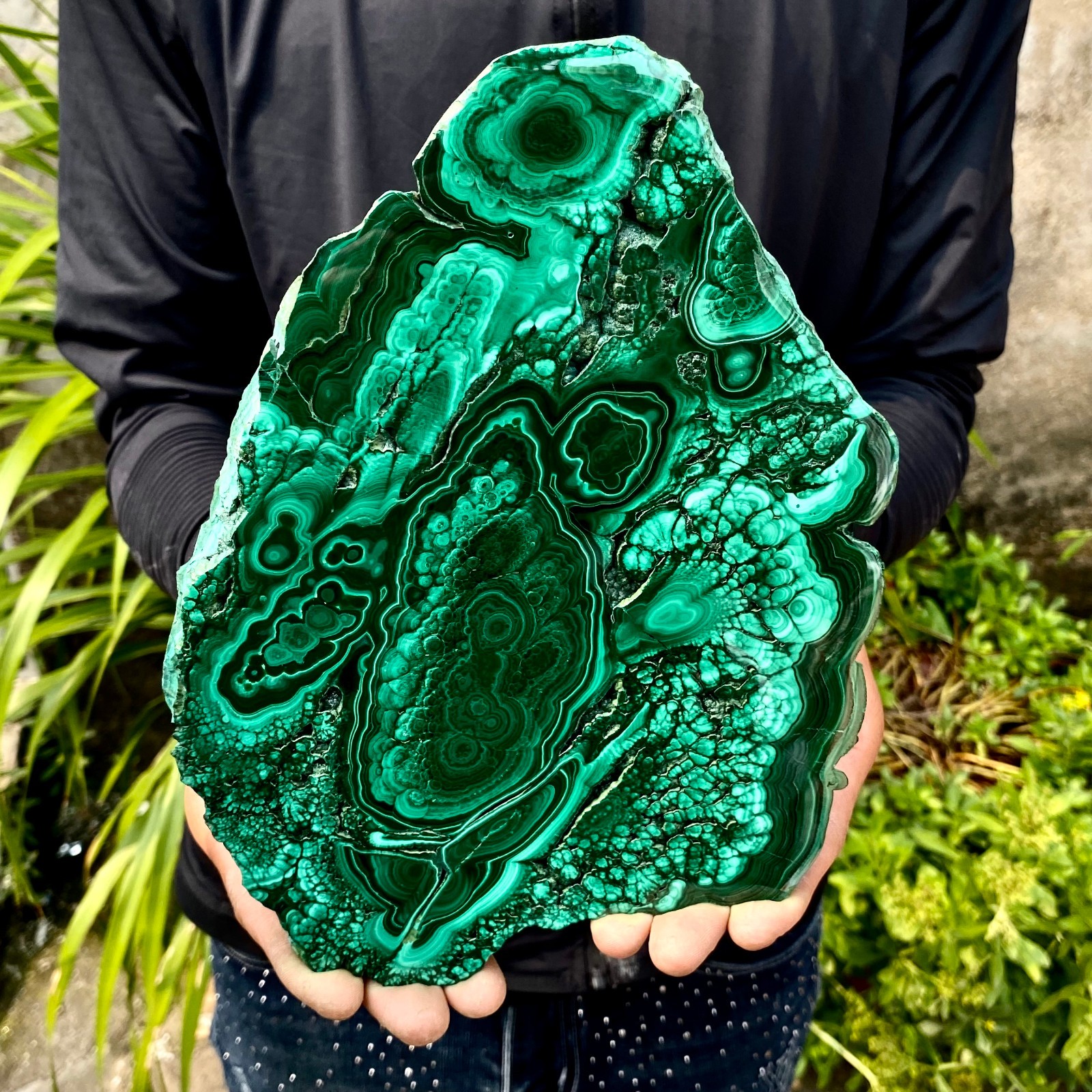 3.61LB Natural malachite slice quartz crystal luster mineral specimen