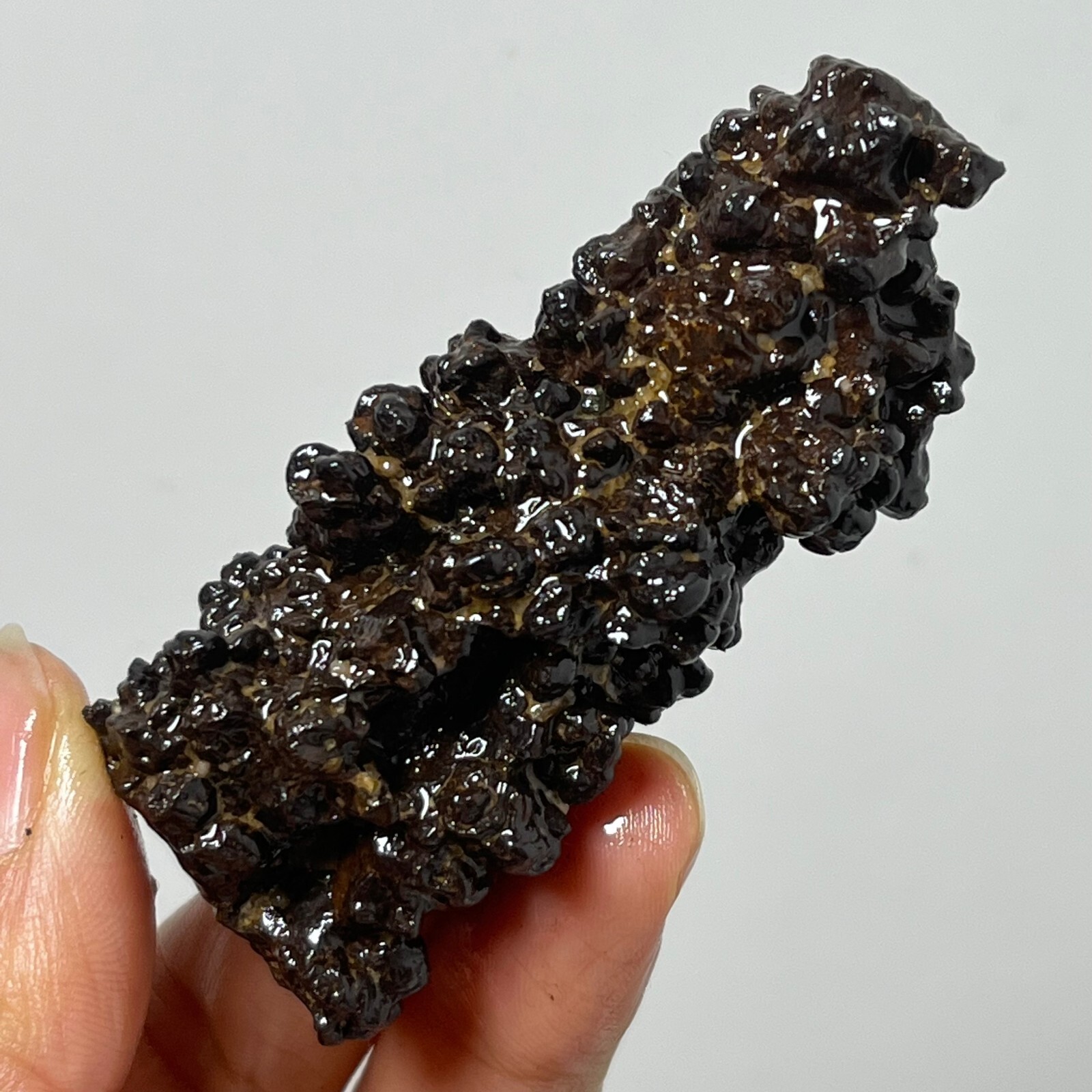 80g Limonite & Hematite pseudomorph after Marcasite – Prophecy Stone d22