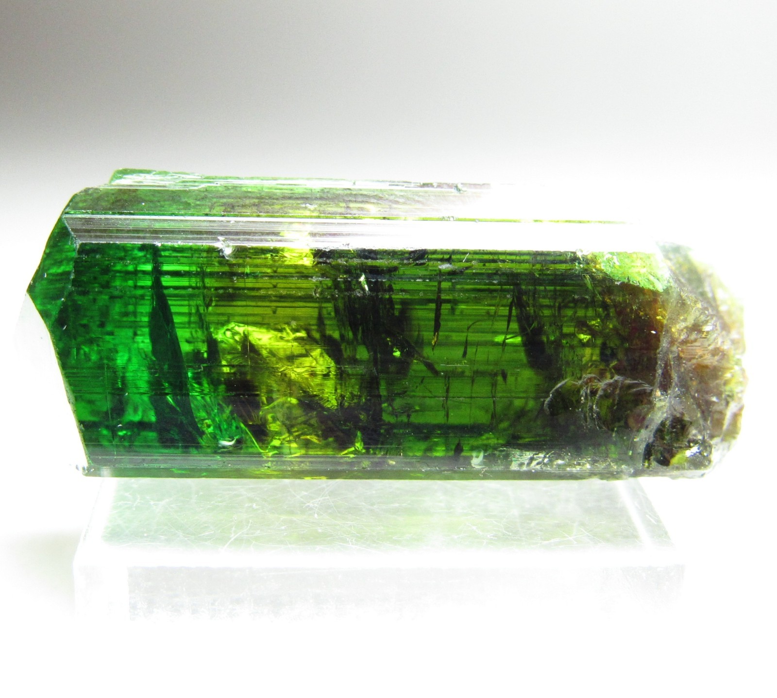 EXTRAORDINARY ELECTRIC GEM CHROME TOURMALINE!!!COMMANDER MINE TANZANIA 10 GRAMS