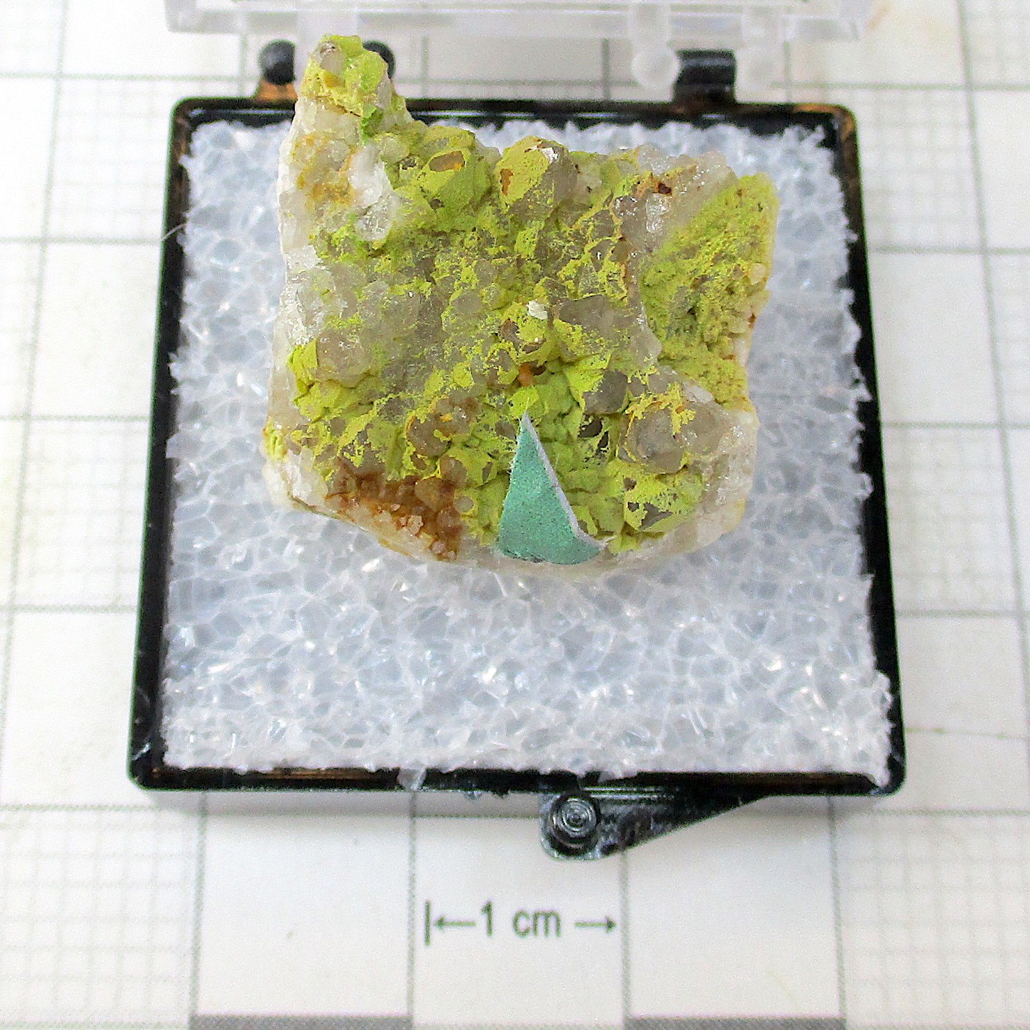 11432 TN Wulfenite Pyromorphite Loudville Lead Mines Easthampton Hampshire Count