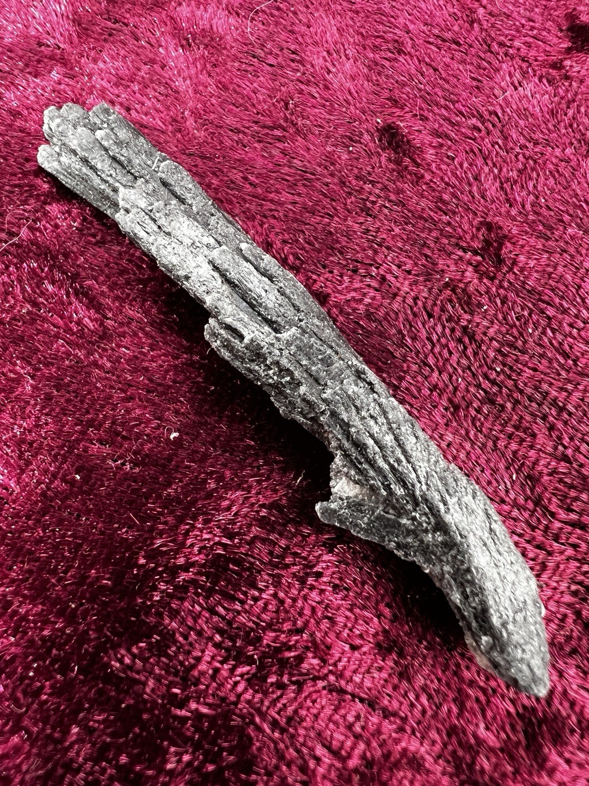 Black Kyanite Crystal AKA Witches Broom – Minas Gerais, Brazil 3.0 g