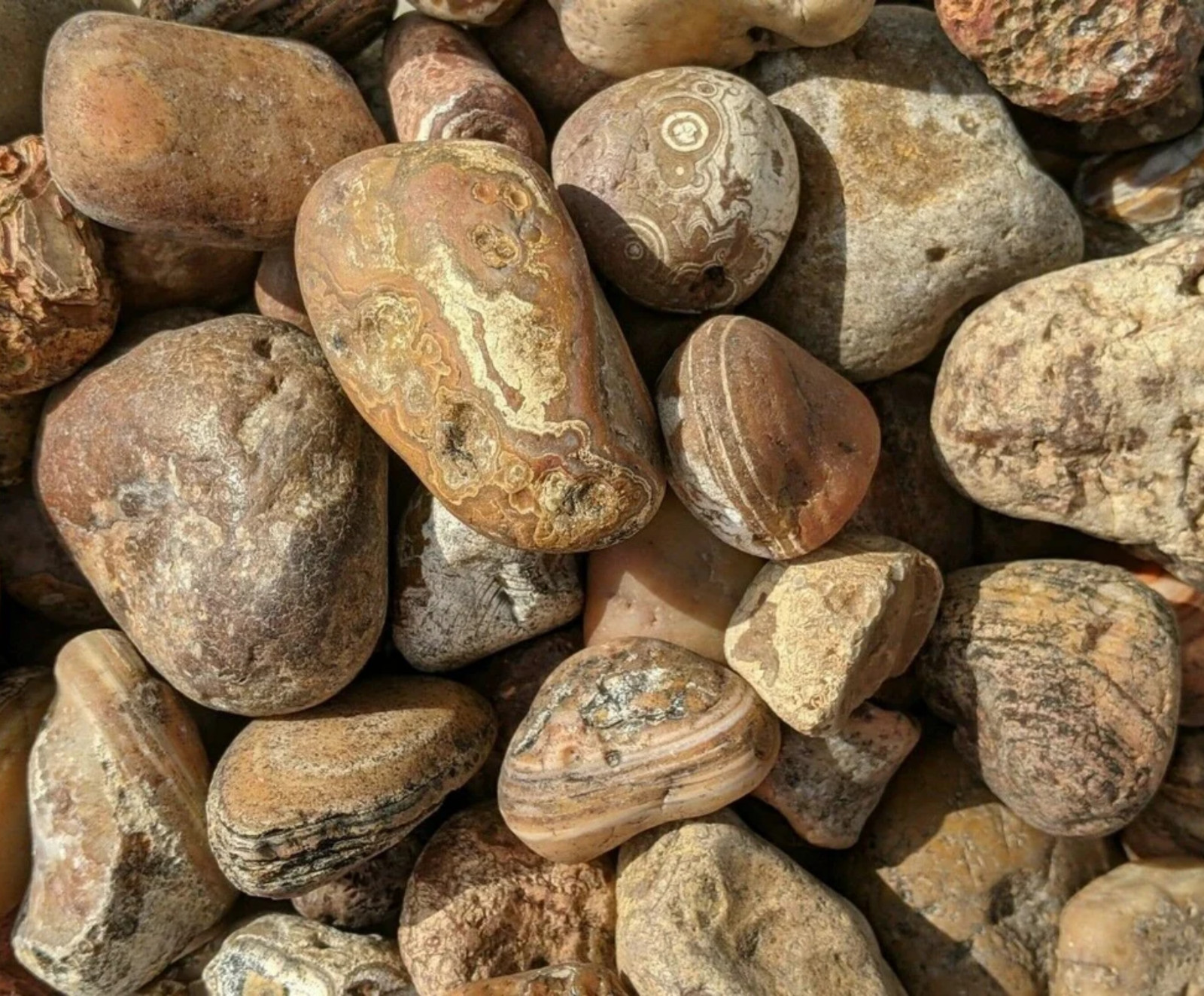 Bahia Agate – Small Rough Rocks for Tumbling – 0.5″ – 1.25″ – 1LB Bulk Wholesale