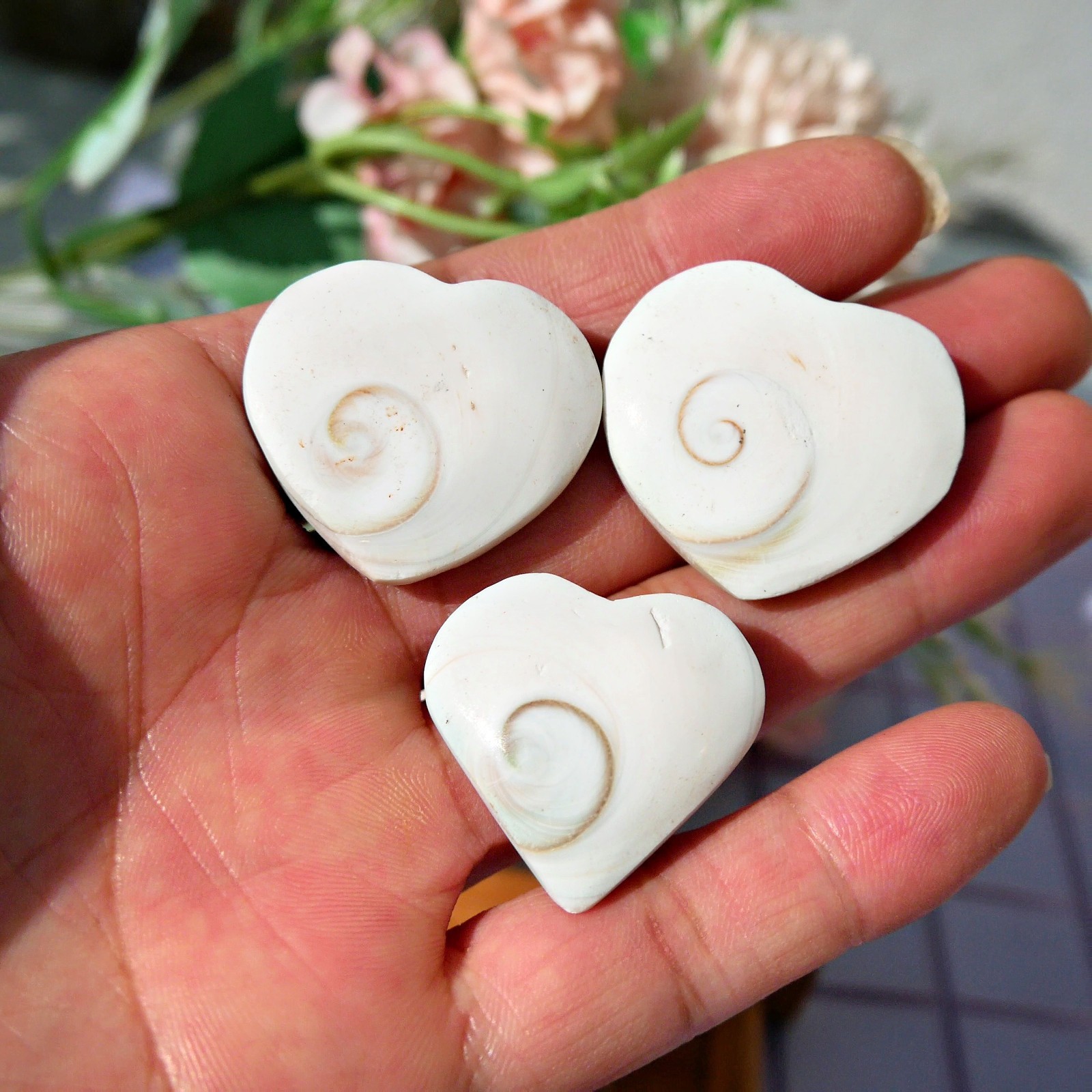 12 Pcs Natural Sea Shell Heart 1-1.5″ Bulk Lot Ocean Healing Crystal Love Stone