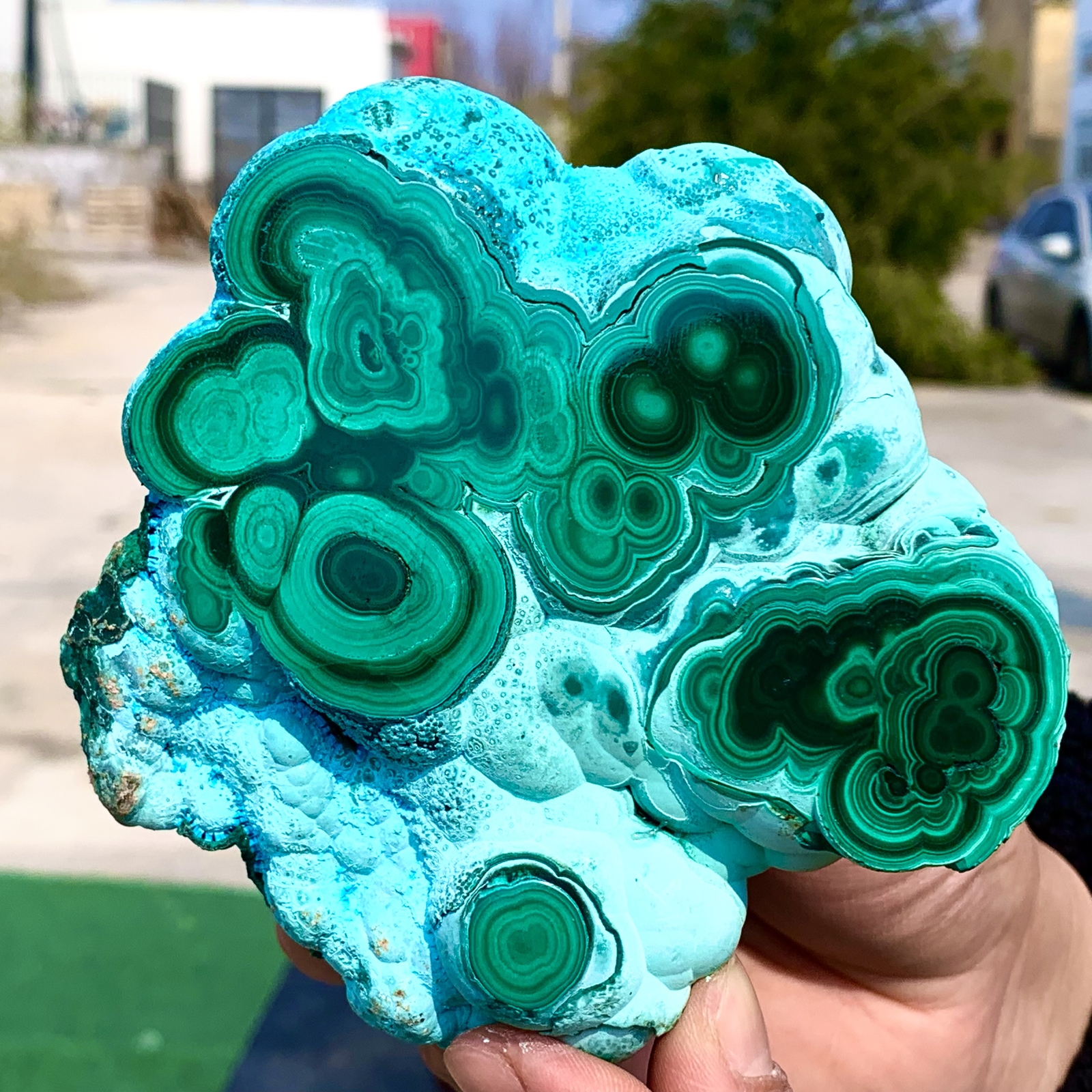 1.92LB Natural Chrysocolla/Malachite transparent cluster rough mineral sample