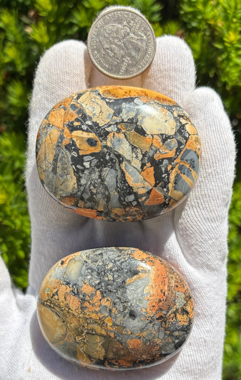 USA SALE SEE VIDEO 195g LOT MALIGANO JASPER PALMSTONES PALM STONES PALM STONE