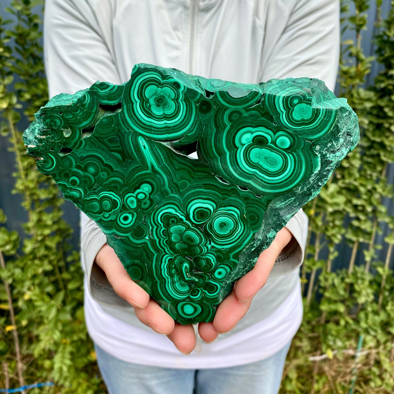 1.41LB Natural malachite slice quartz crystal luster mineral specimen