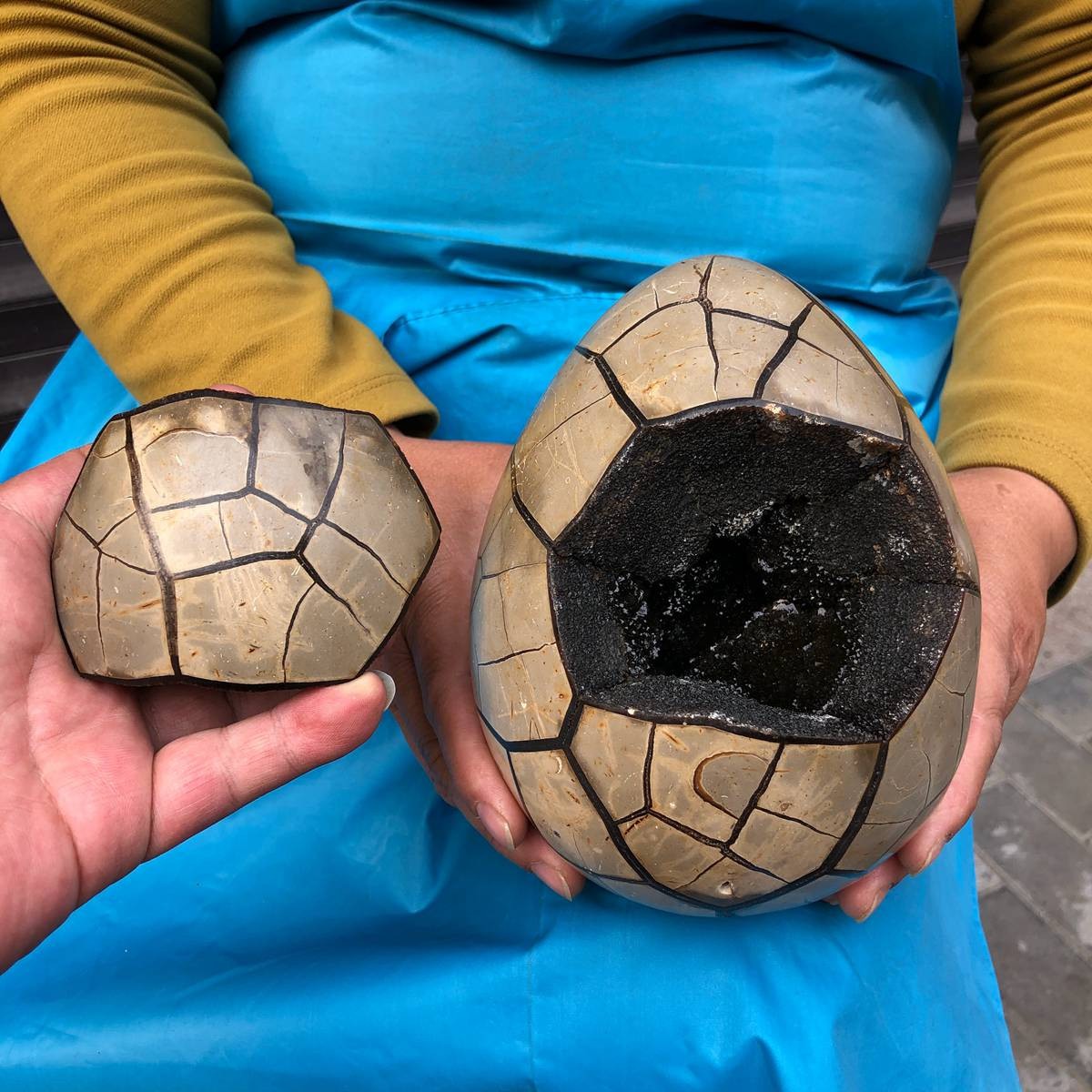 3290G Natural Turtle Back Stone Dragon Crystal Cave Crack Gem Healing 4351