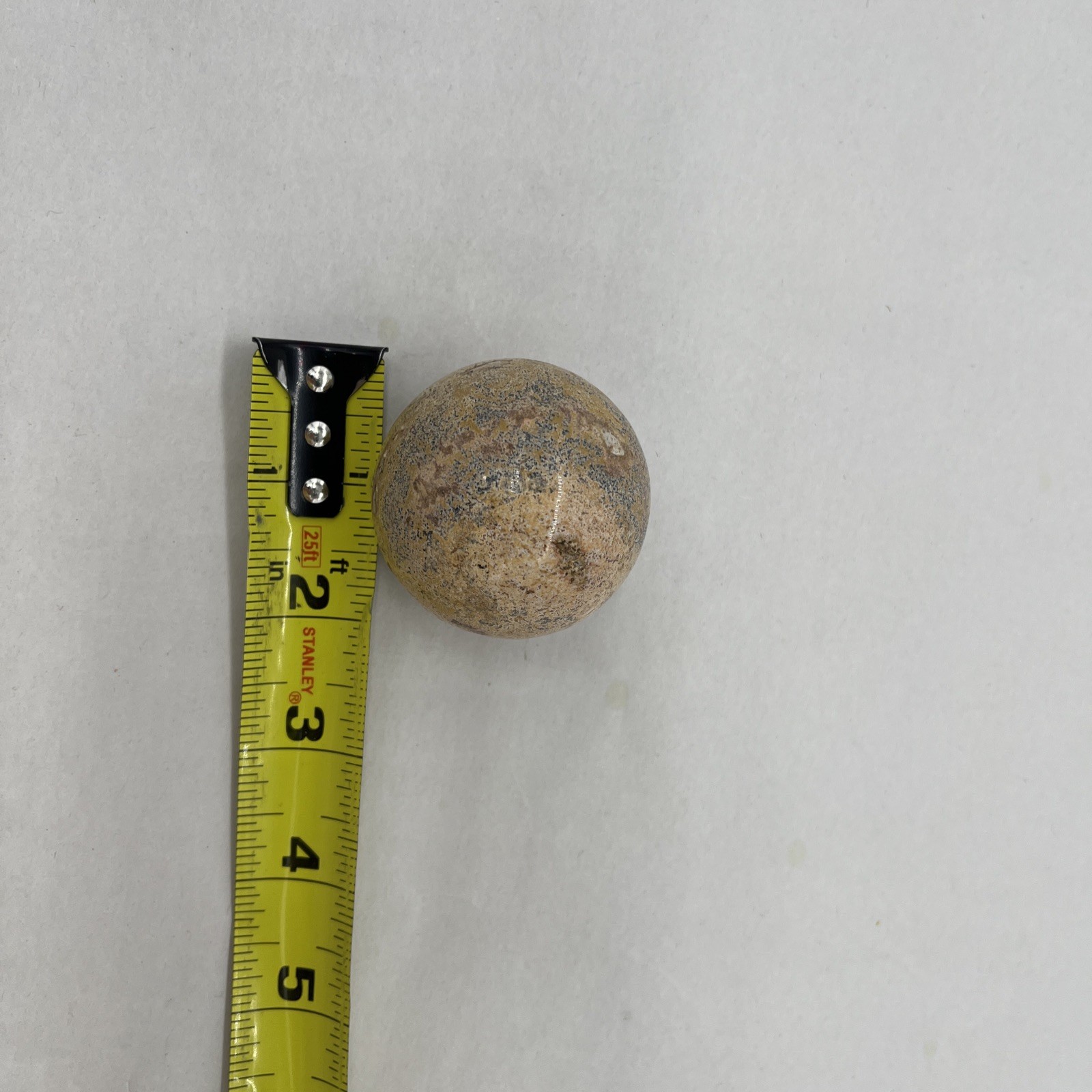 Natural Shell Fossil Quartz Crystal Sphere Ball Stone Healing Mineral Specimen