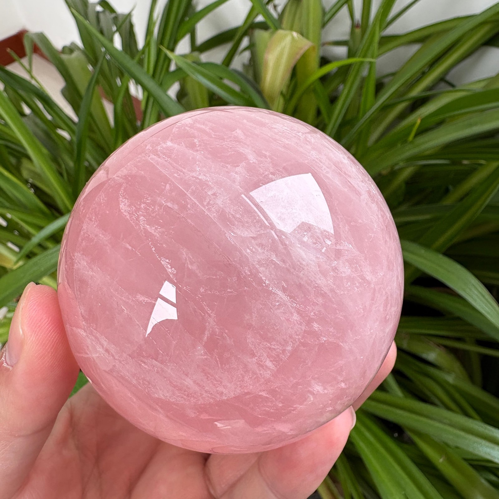 Natural Rose Quartz Sphere 1.5 lb 3.1″ Crystal Ball Healing Rock Collection