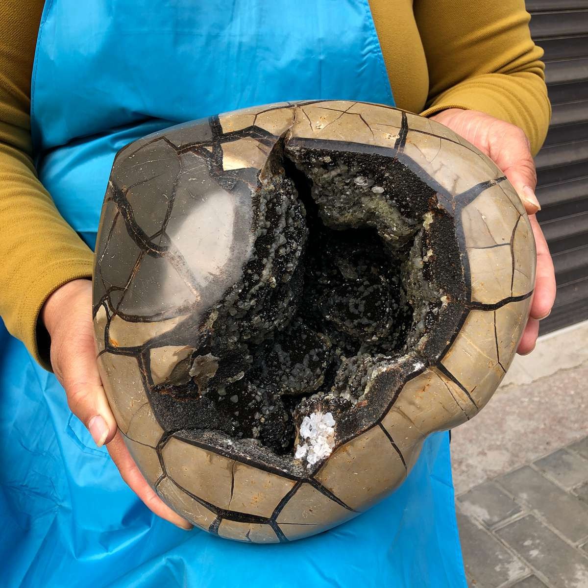 10.9KG Natural Turtle Back Stone Dragon Crystal Cave Crack Gem Healing 4355