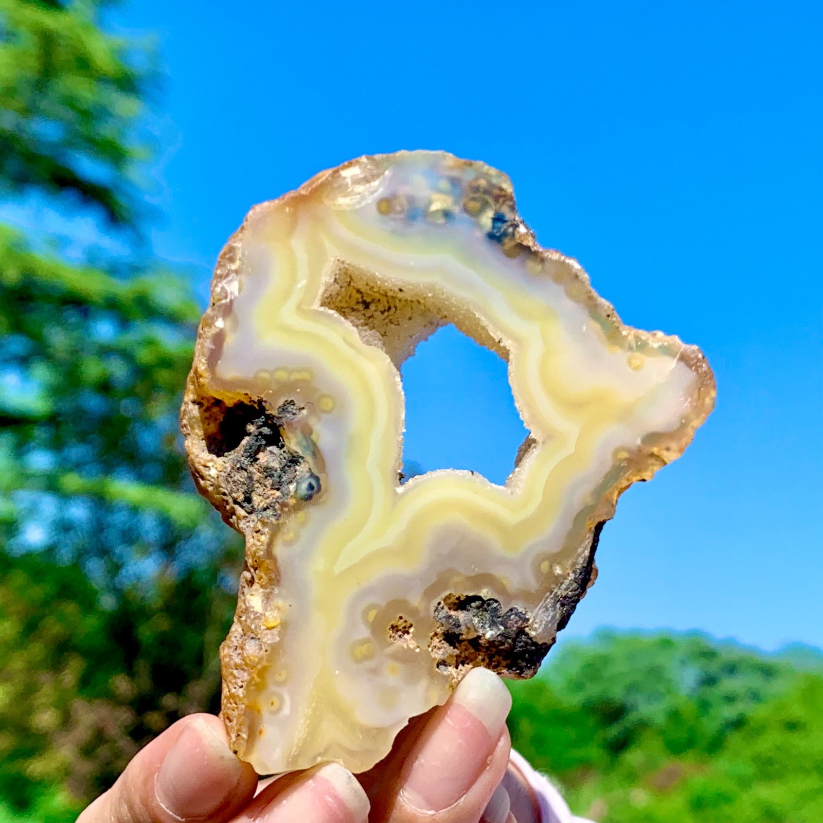 94G AAA Grade Natural Beautiful Yellow Agate Geode Druzy Slice Extra Large Gem
