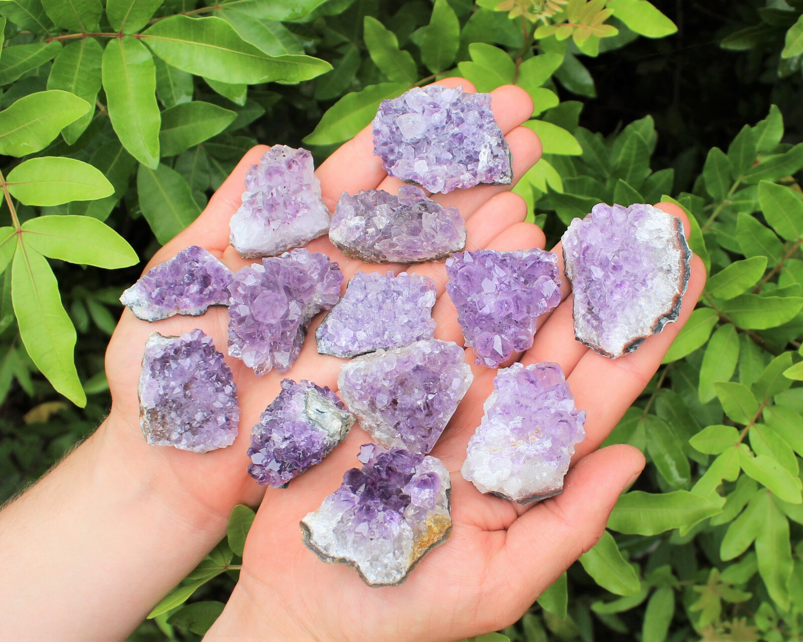 Bulk 1/2 lb Lot Natural Amethyst Crystal Clusters Geodes Gemstone (2 – 3 Pieces)