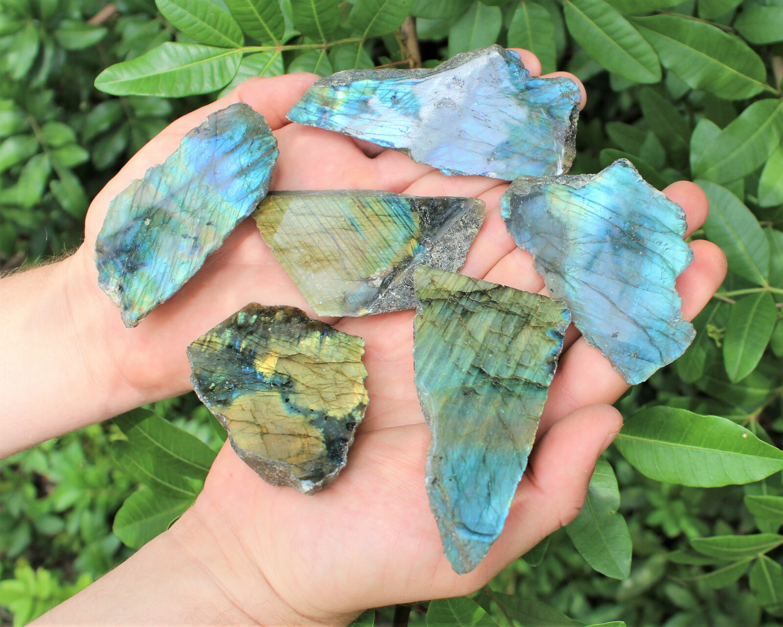 1 lb Wholesale Lots Natural Labradorite Slab / Slice Polished Face 8 – 14 Peices