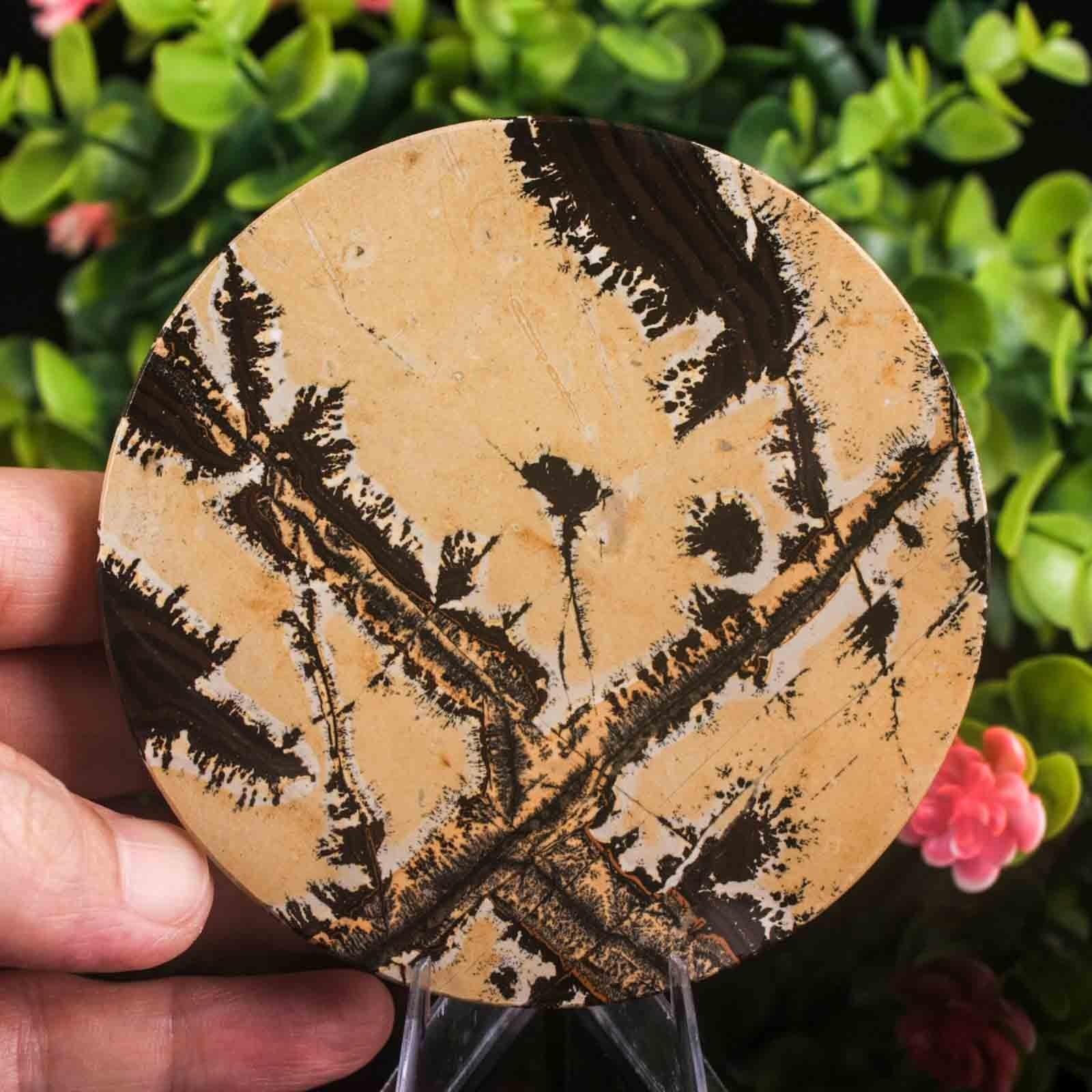 Picture Jasper Slab Natural Stone Display Crystal Specimen w/Stand 3.7″ 5.3oz