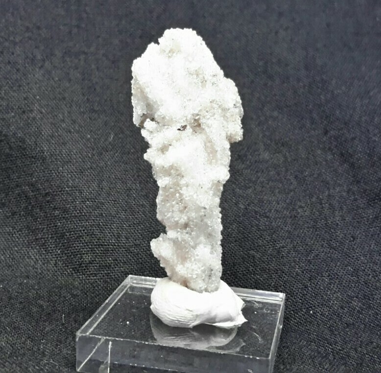 39mm RAM’S HORN SELENITE from Santa Eulalia Mining District, Chihuahua, Mexico