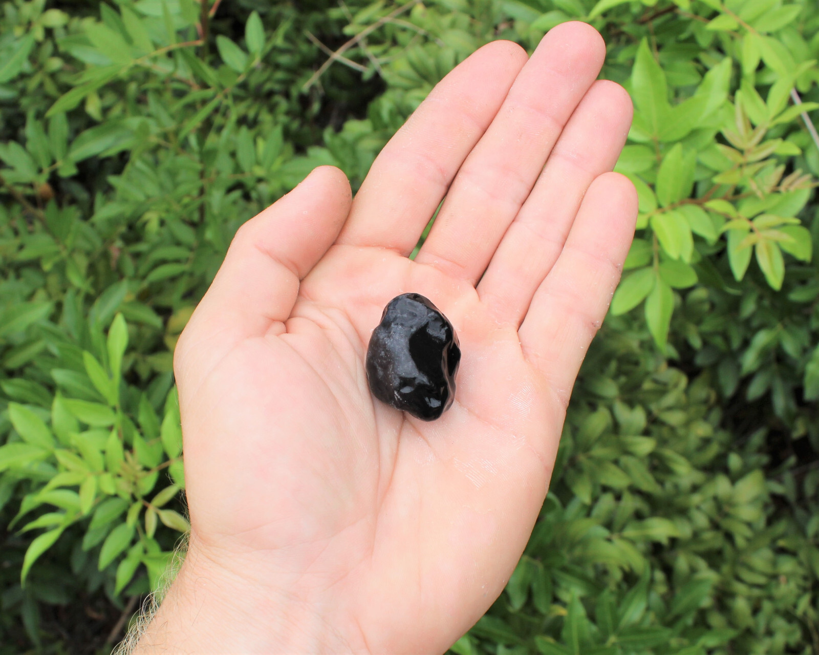 Rough Apache Tears Natural Stones – 5 Piece Lot