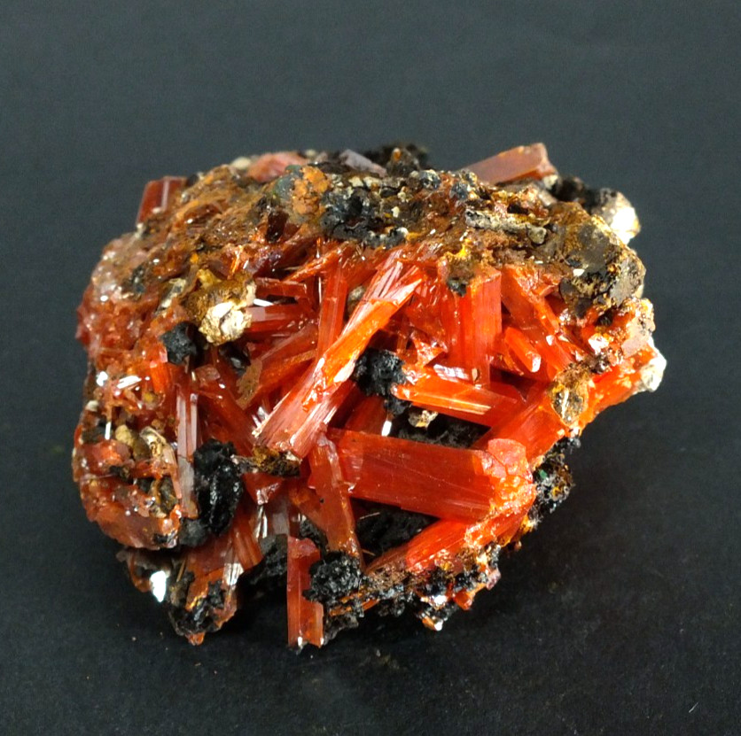 Crocoite Crystals. Adelaide Mine Dundas. Tasmania Australia (EA12014)