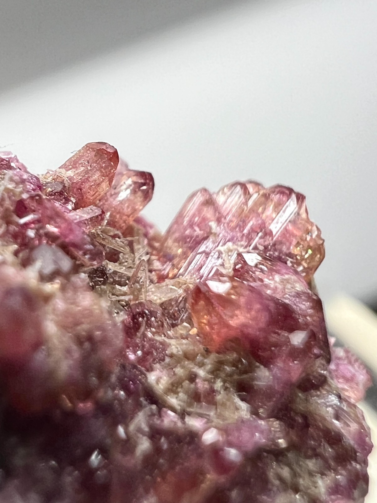Vesuvianite Crystals – Jeffrey Mine (Closed 2012) Quebec CANADA Mineral Specimen