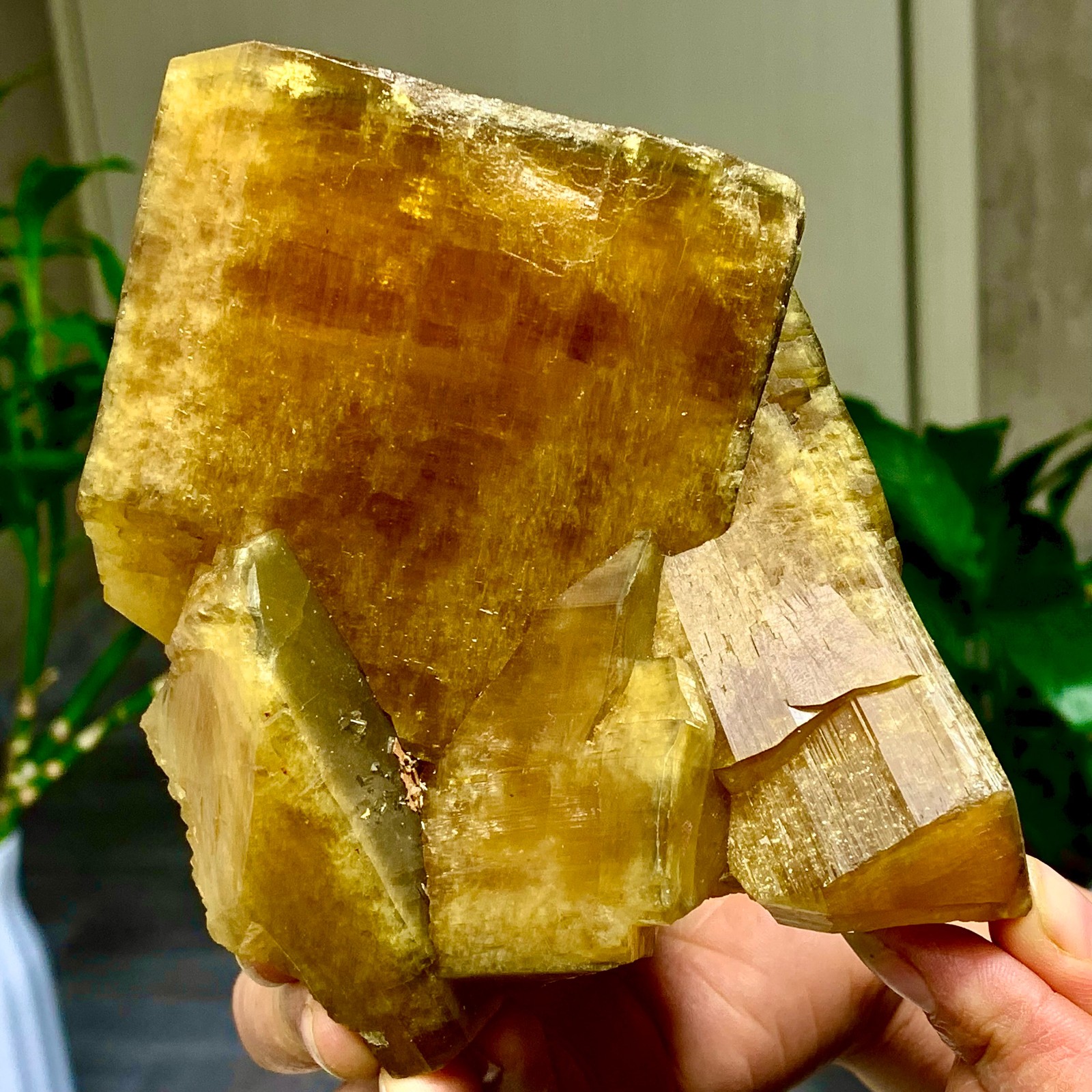 3.81LB Shiny Golden Cuboid Barite Crystal Based on the Purple Spherical Fluorite