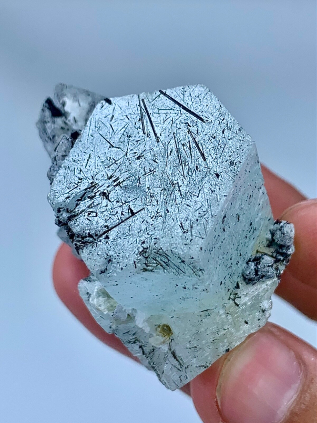 60 GM Natural Terminated Aquamarine Crystal With Schorl Spray Specimen