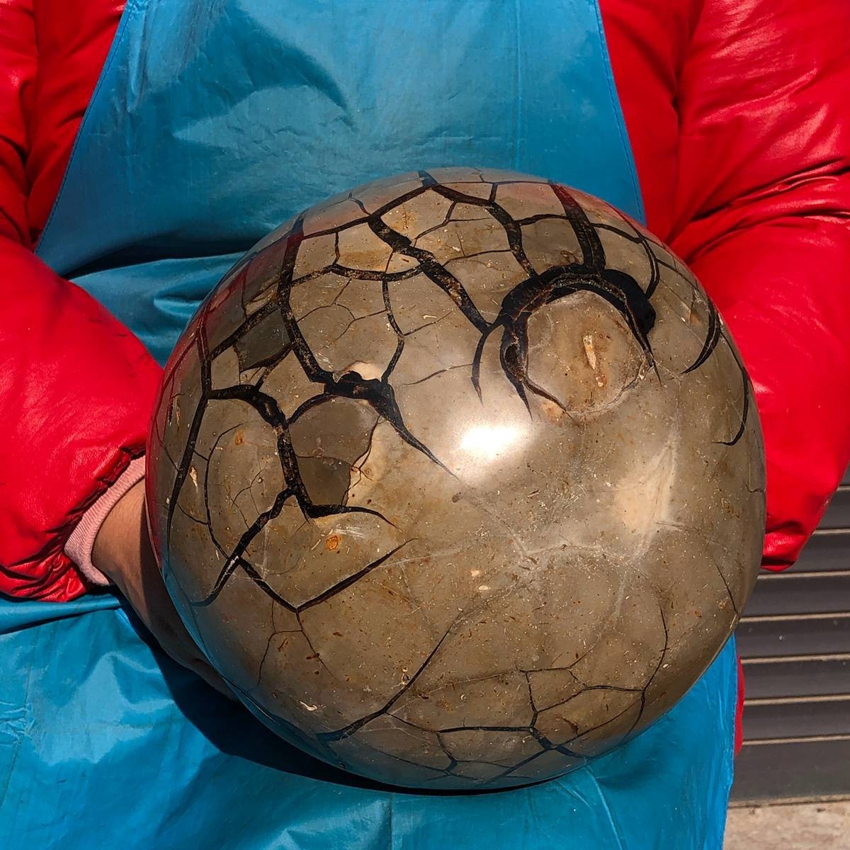 38.5LB Top Natural Turtle Back Stone Hole Shape Dragon Crystal Crack Gem Reiki