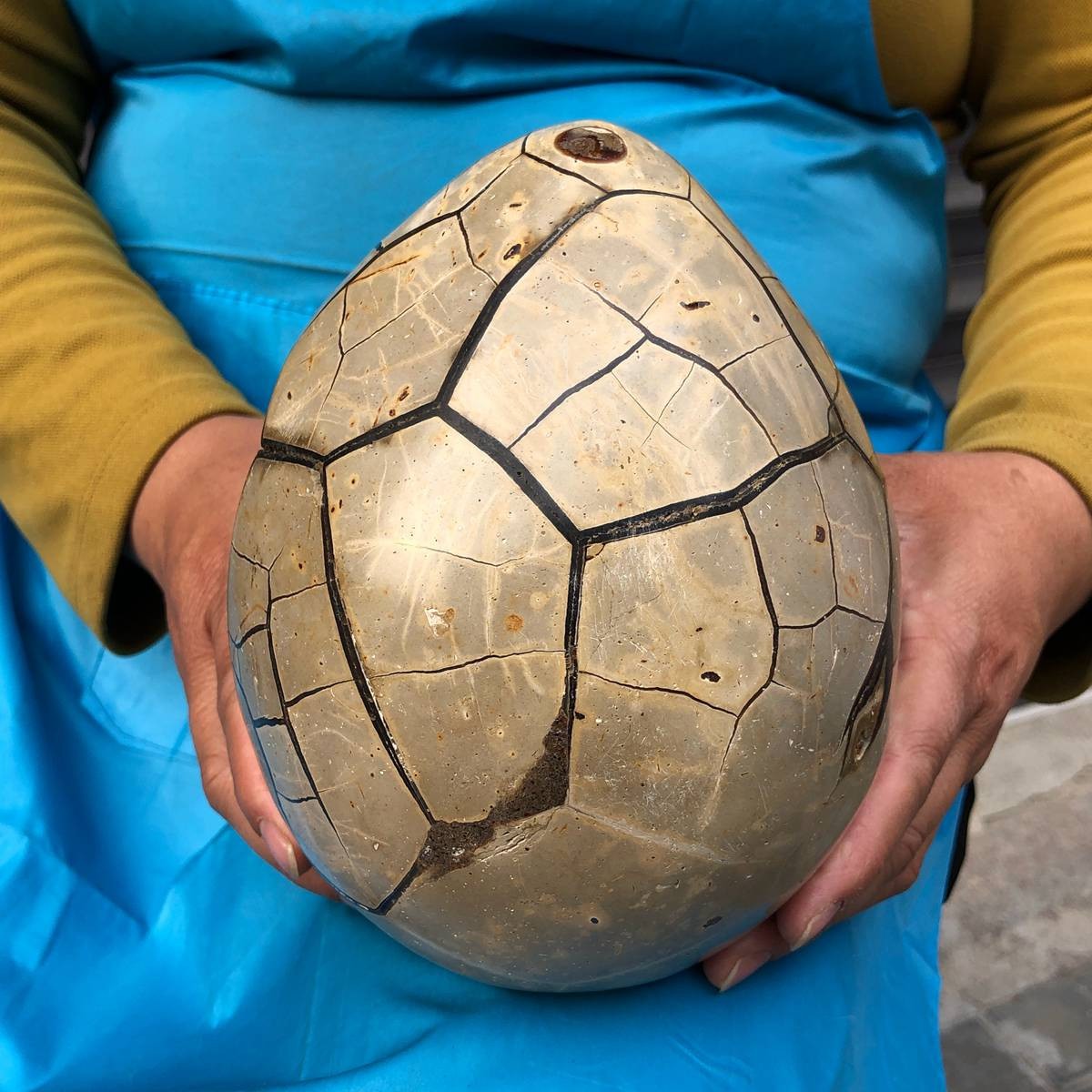 3860G Natural Turtle Back Stone Dragon Crystal Cave Crack Gem Healing 4354