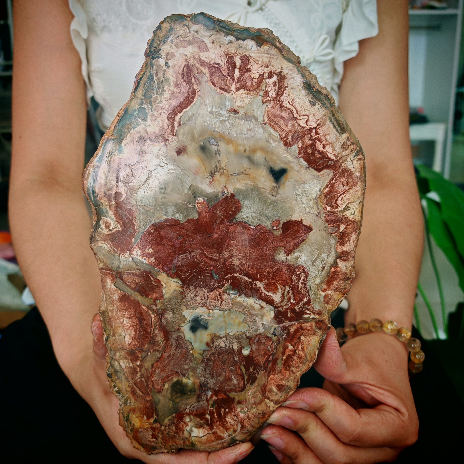 3.19LB Natural Jurassic and Cretaceous wood fossil crystal slice specimen 1.45kg