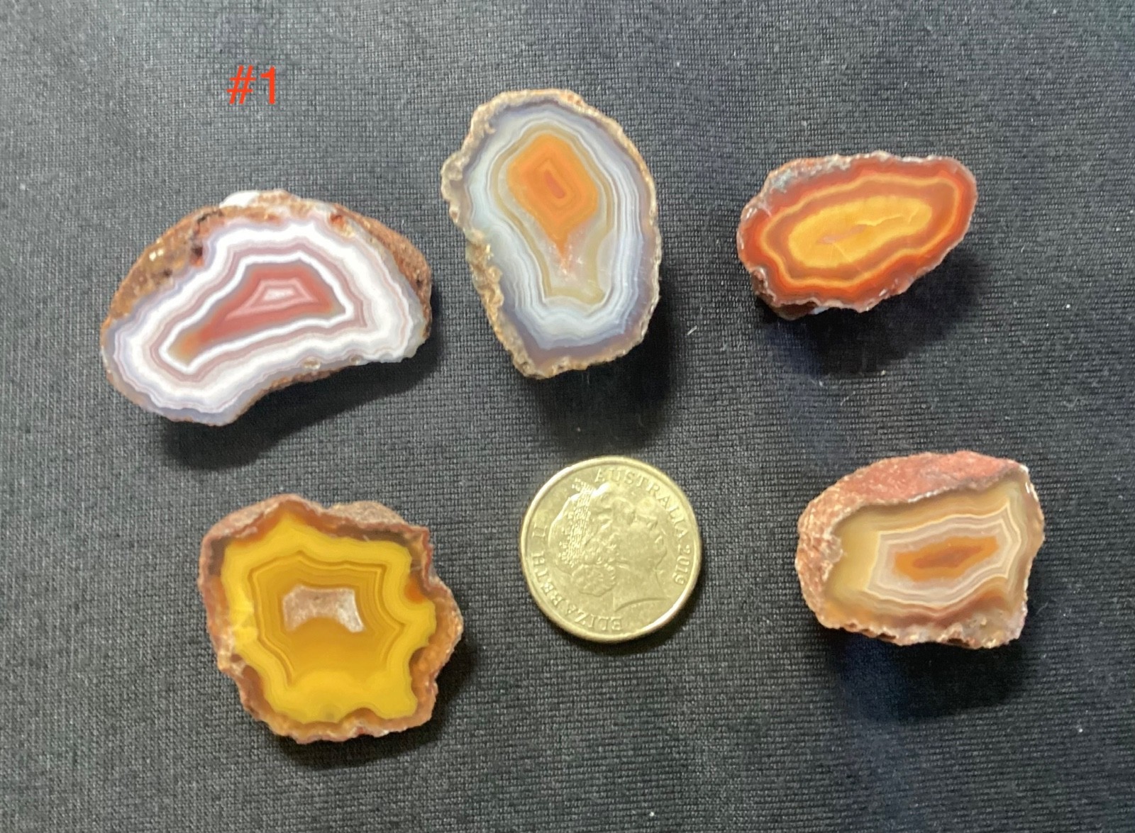 Malawi Agate Parcels – 5x PREMIUM Alimajo Polished Halves (30mm)
