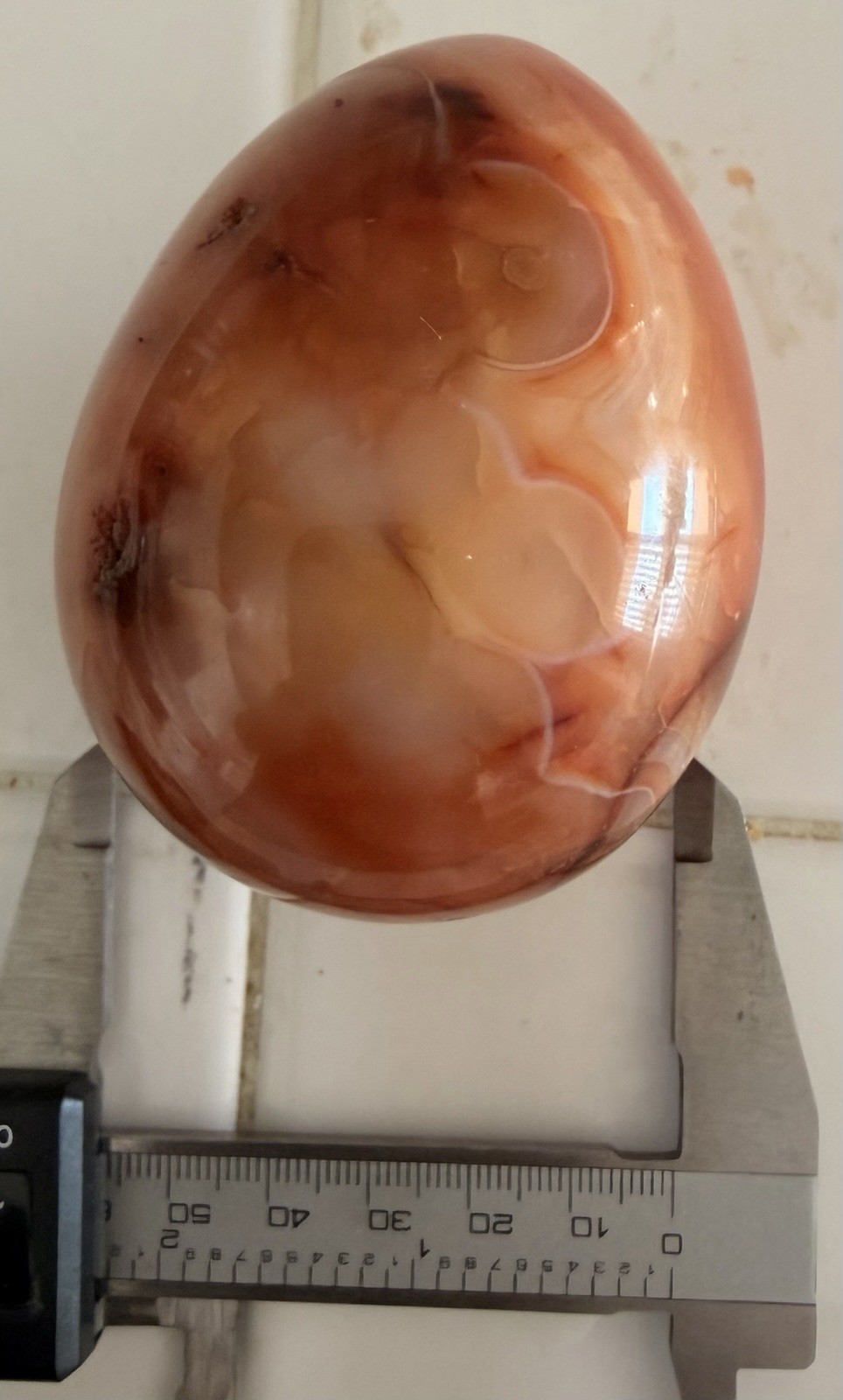 Large Natural Polished Carnelian Agate Egg Shape Display Specimen