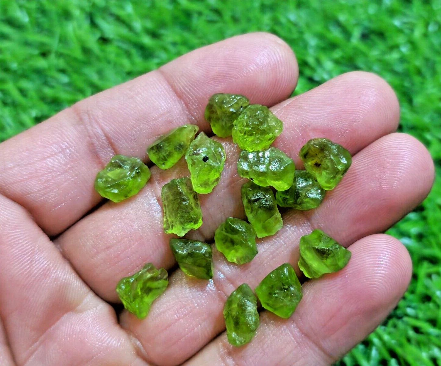 Excellent Rare Green Peridot 16 Piece Raw 10-12 MM Peridot Rough Loose Gemstone