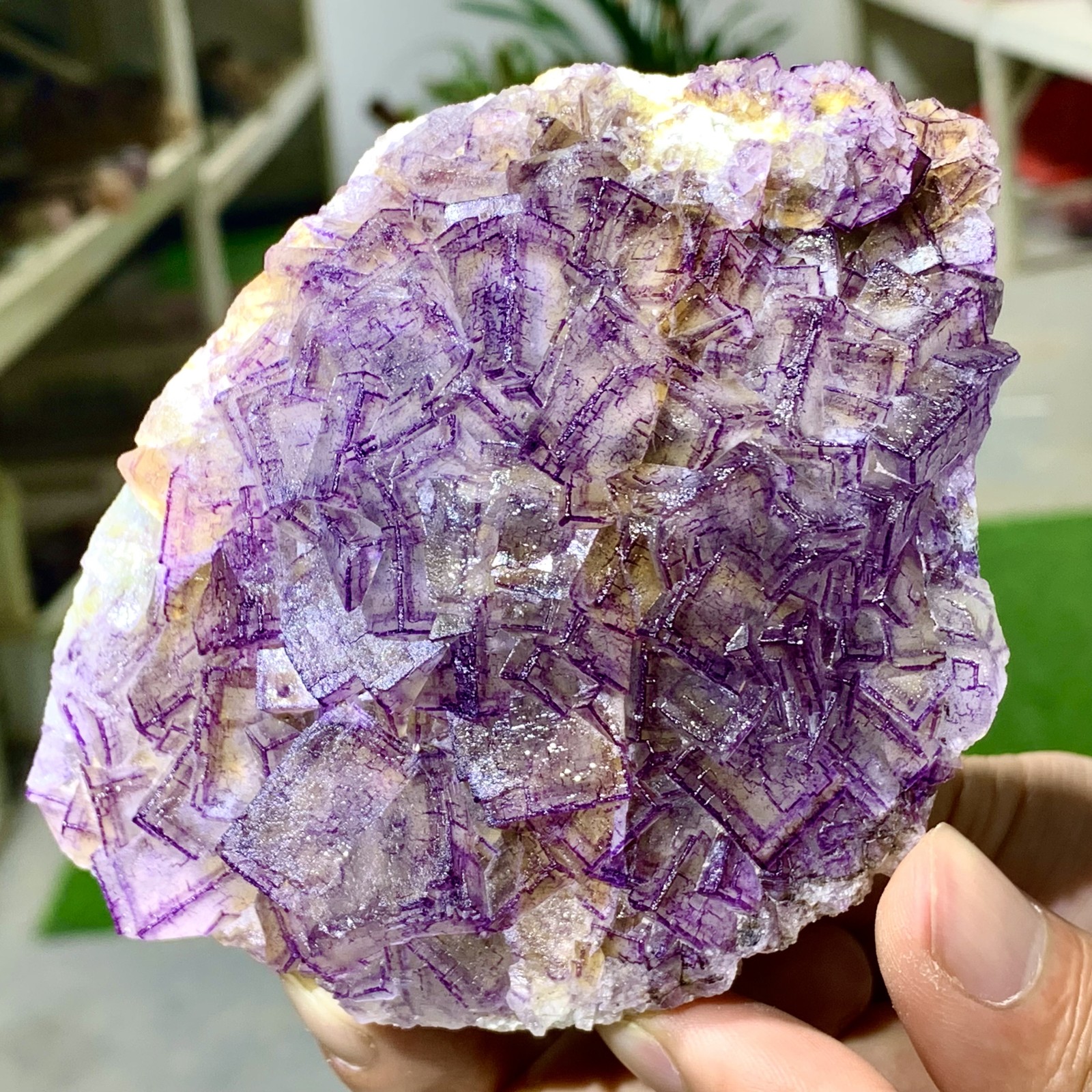 443G Inner Mongolia Natural Fluorite Purple Edged Cube Crystal Mineral Specimen