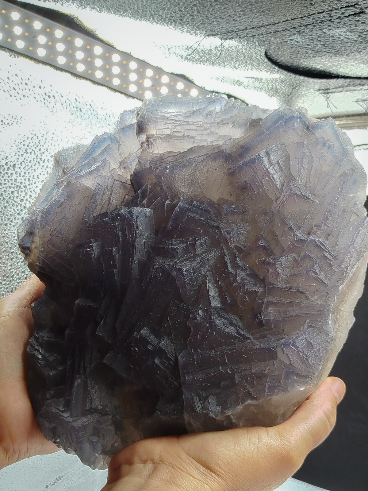 14.11 LB Natural Cubic Blue Phantom Fluorite Crystal Cluster Mineral Specimen