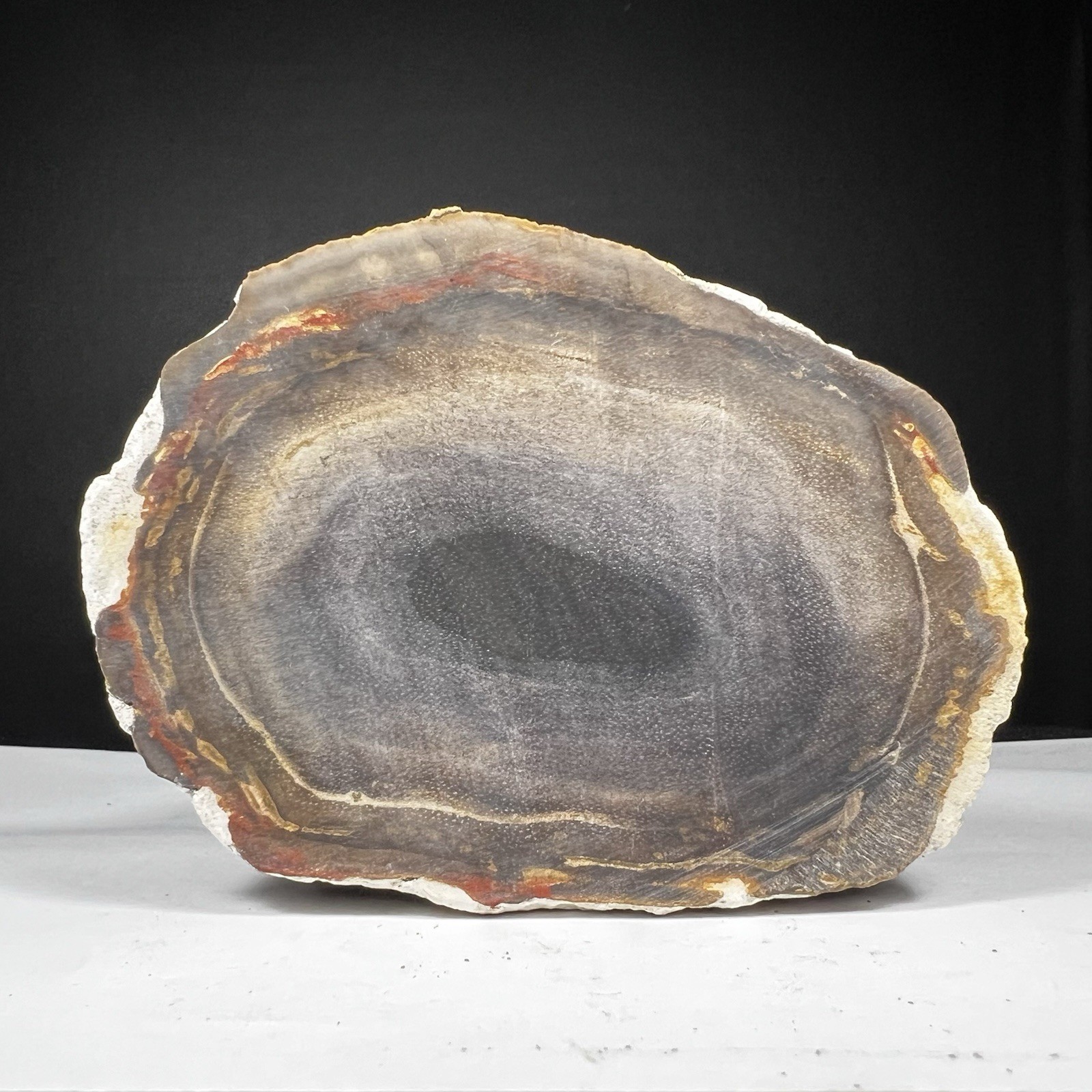151GR MULTY COLOR PETRIFIED WOOD SLICE PATLY POLISHED FROM INDONESIA