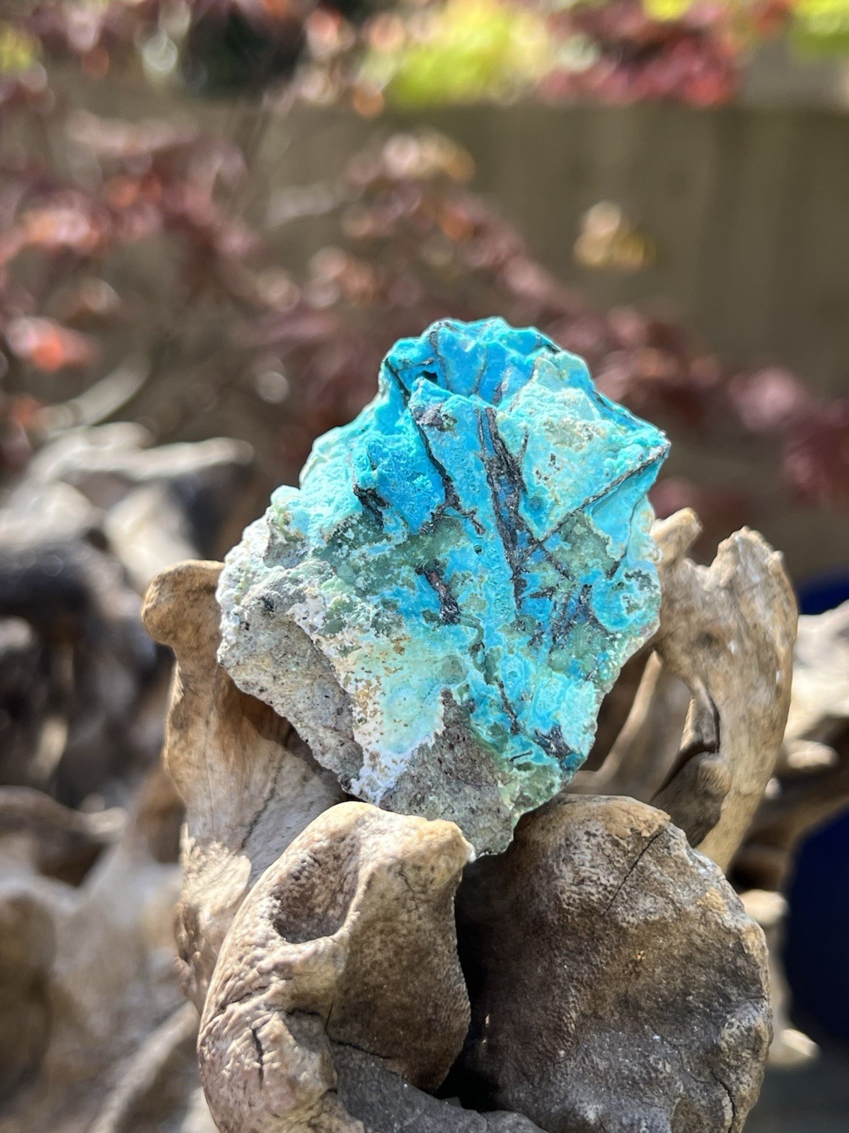 Chrysocolla Crystal Natural Unpolished Raw Specimen With Copper 2