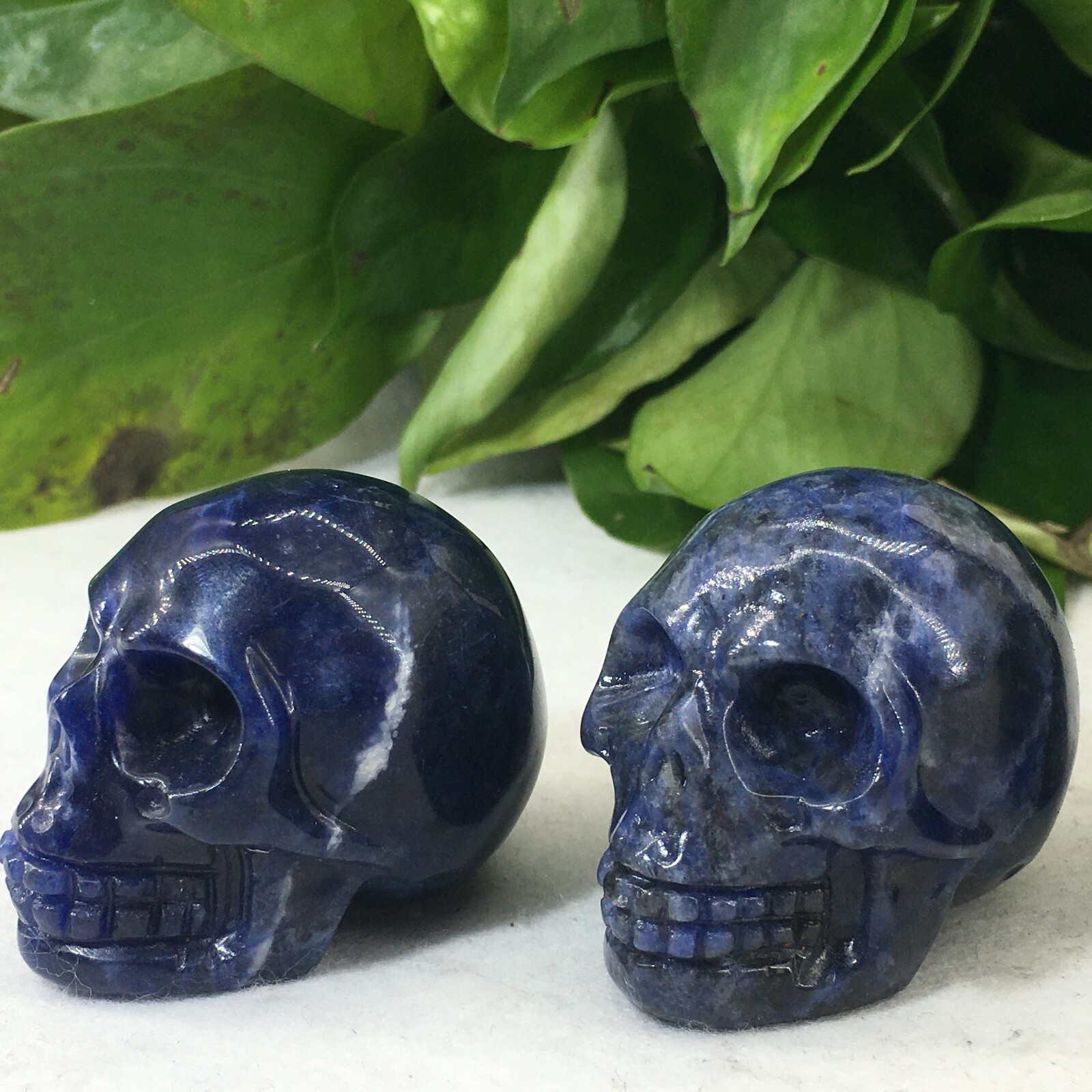 2pc Natural sodalite Quartz hand Carved skull crystal Reiki healing 2”