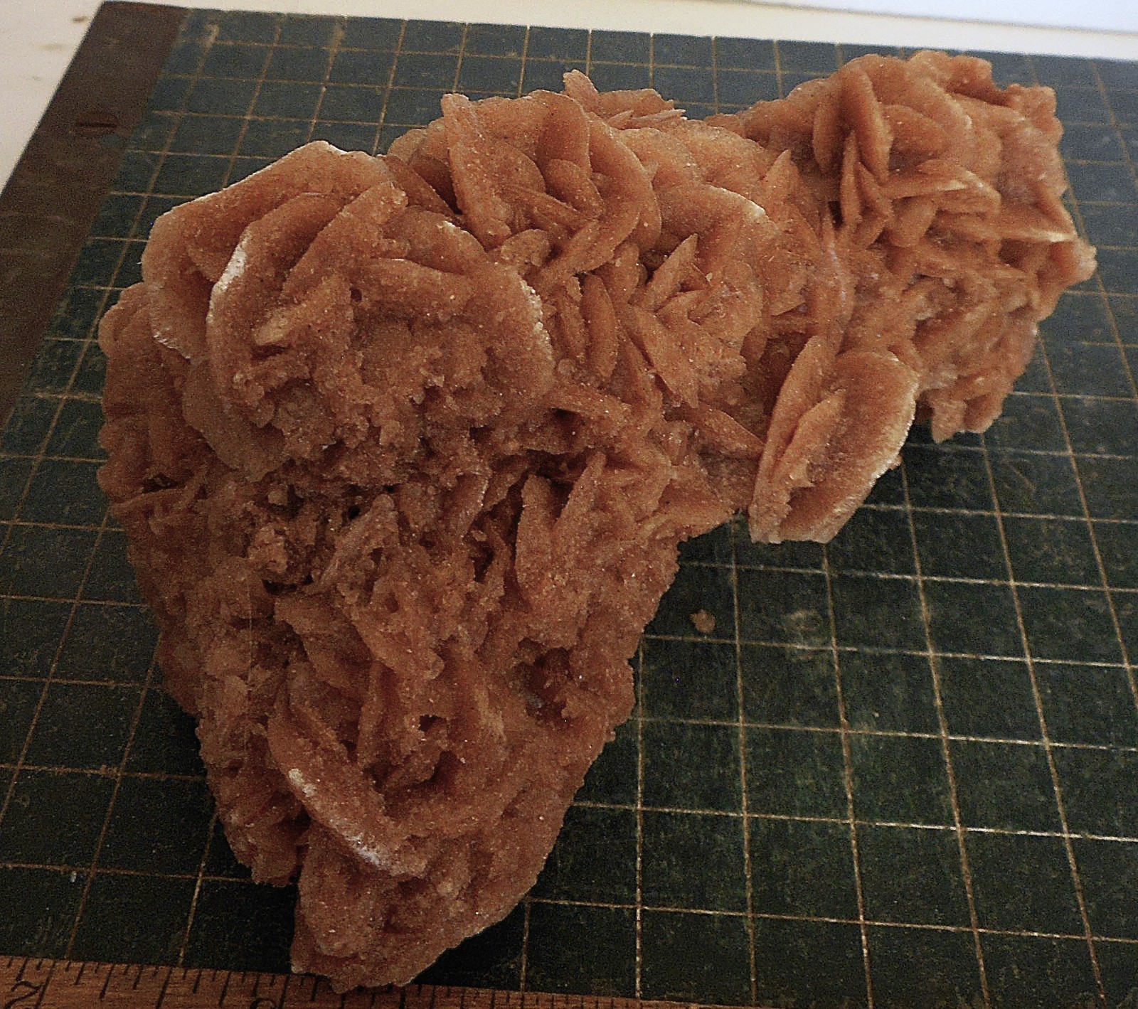 Desert Rose Selenite. Natural. Gypsum. Morocco 6.0″ (15.2cm). 1.33 Lb