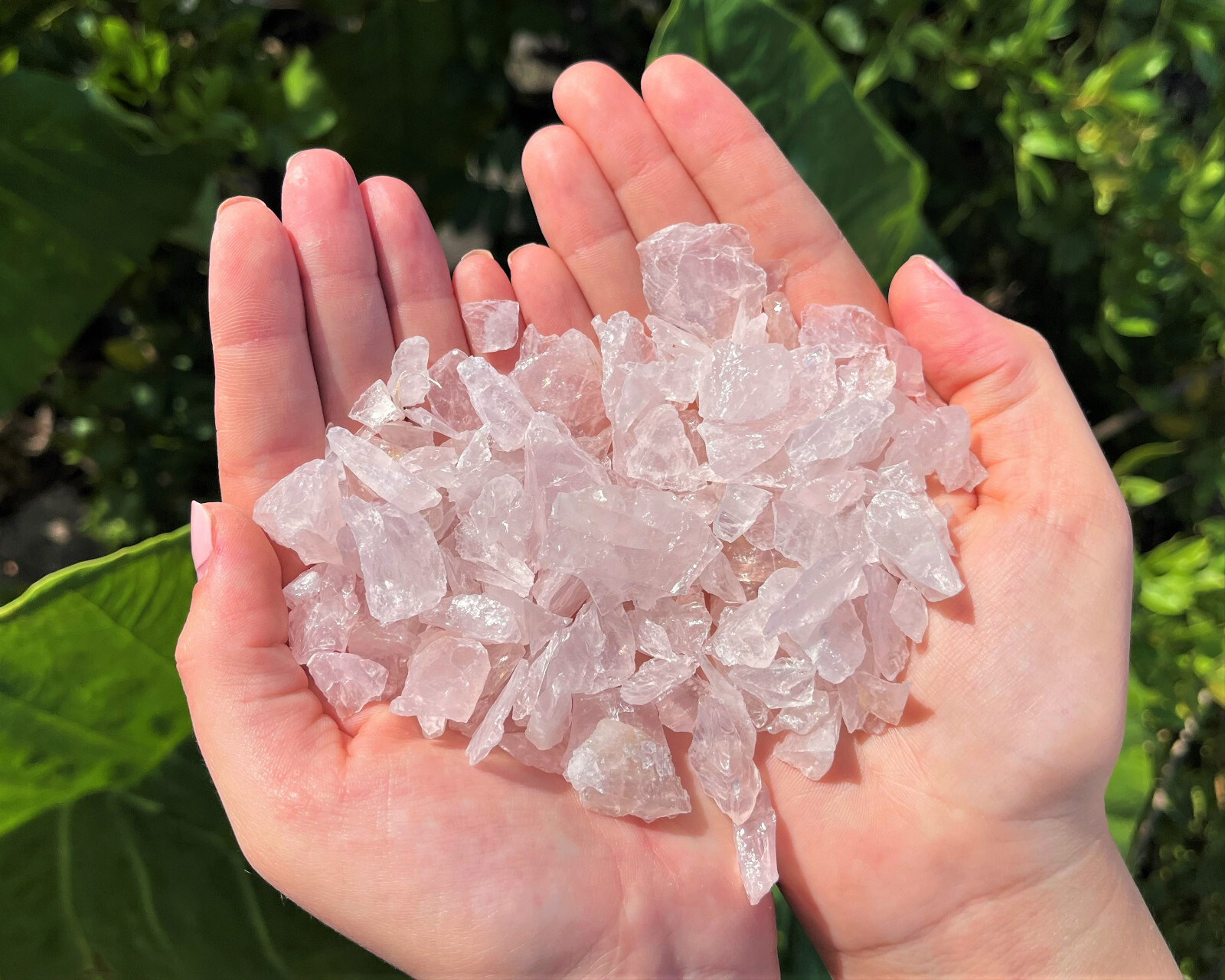 Rough Rose Quartz Cystal Chips, 0.5 – 1.25″, Raw Rose Quartz Wholesale Bulk Lots