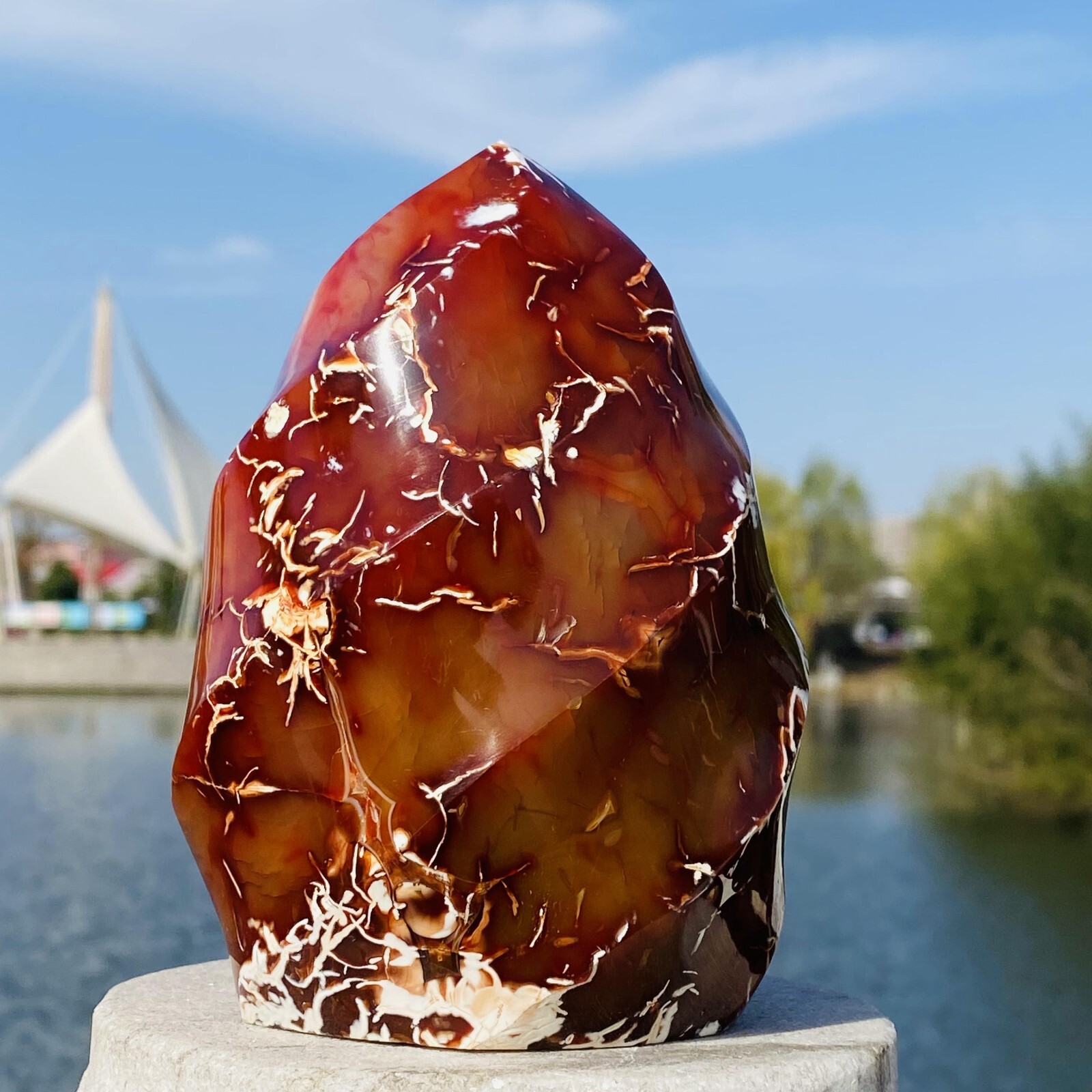 2.74LB Natural Red Agate Flame spiral Quartz Crystal Mineral specimen healing